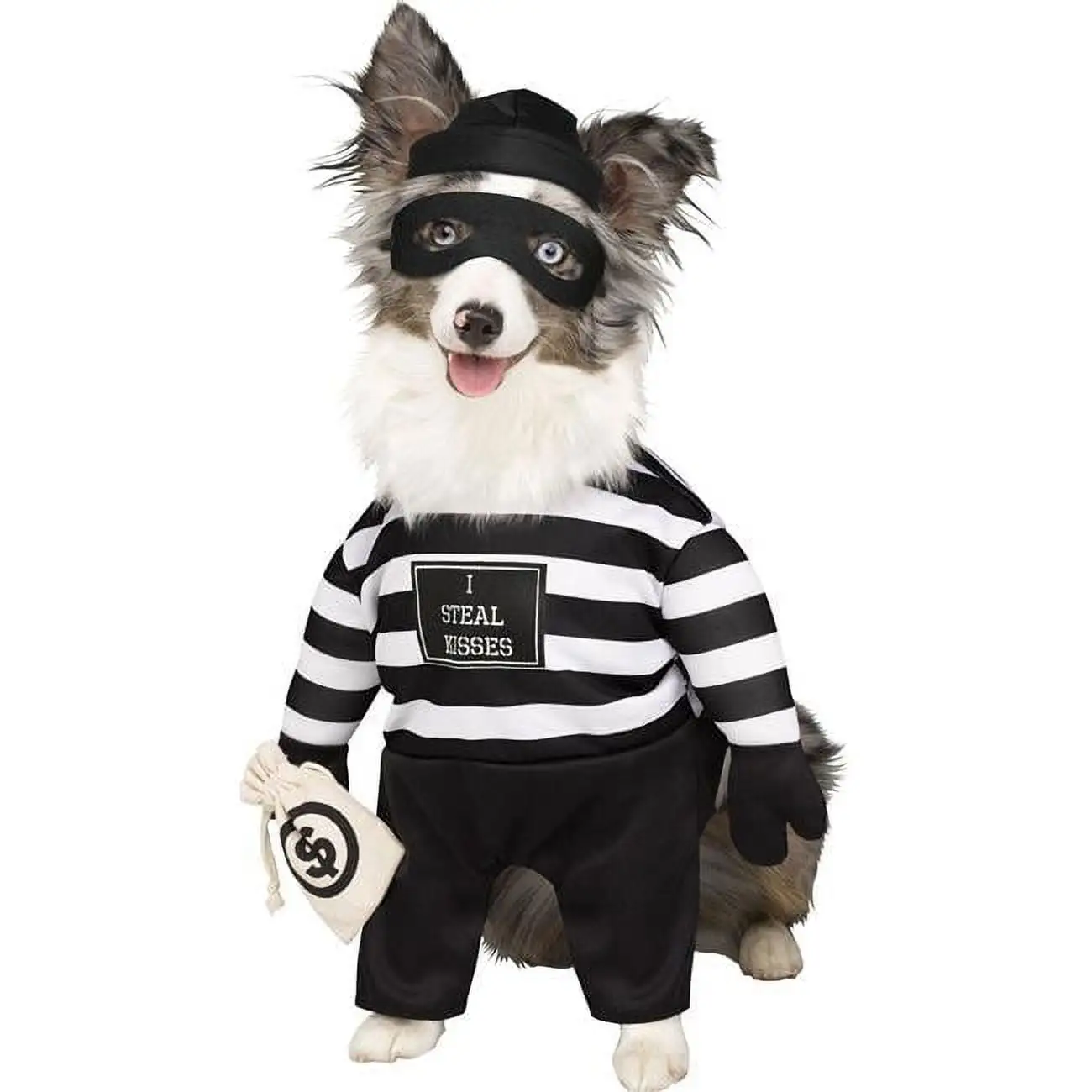 Fun World FW98054LG Robber Pup Pet Costume - Large