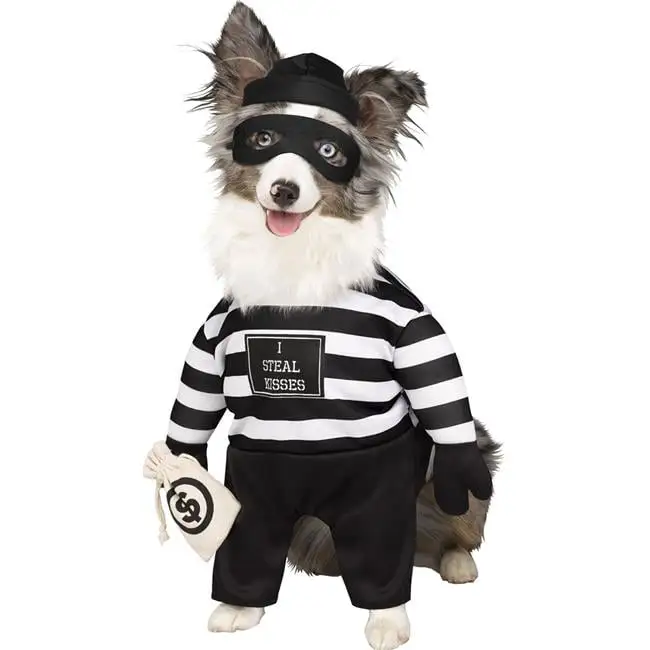 Fun World Robber Pup Pet Costume - Medium