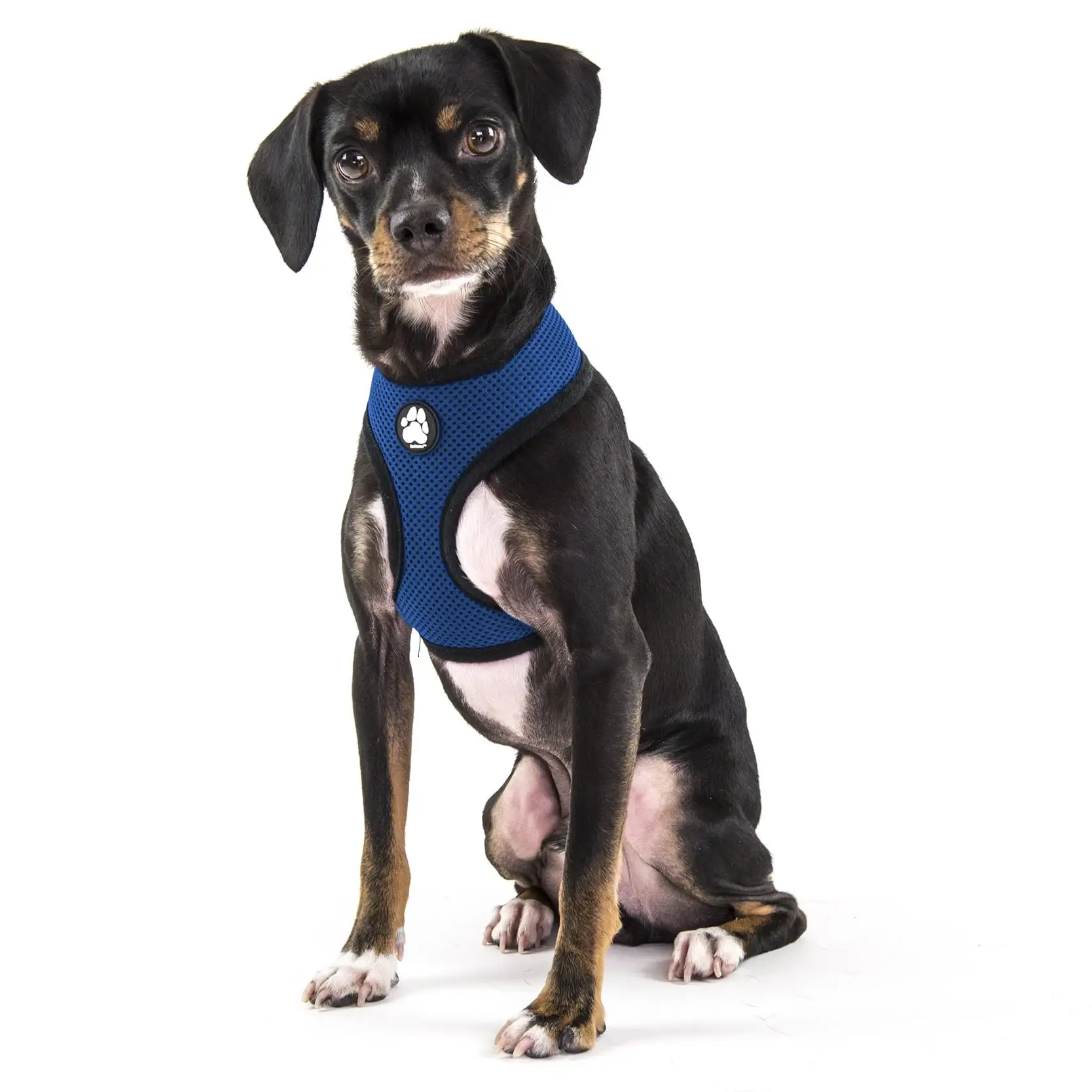 FurHaven Mesh Dog & Cat Harness. True Blue. Small