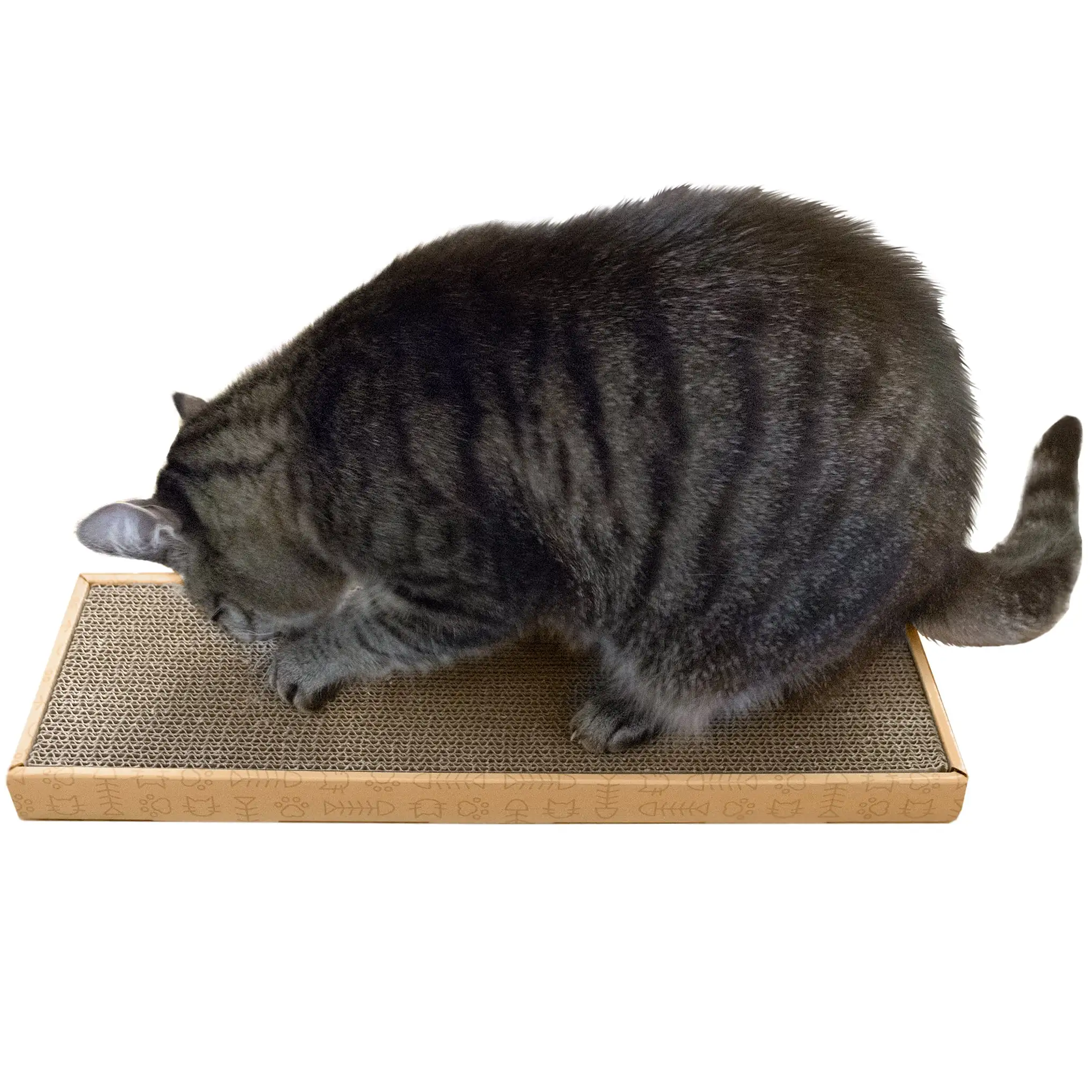 FurHaven Pet Cat Scratcher | Corrugated Cat Scratcher with Catnip. Yellow. Small