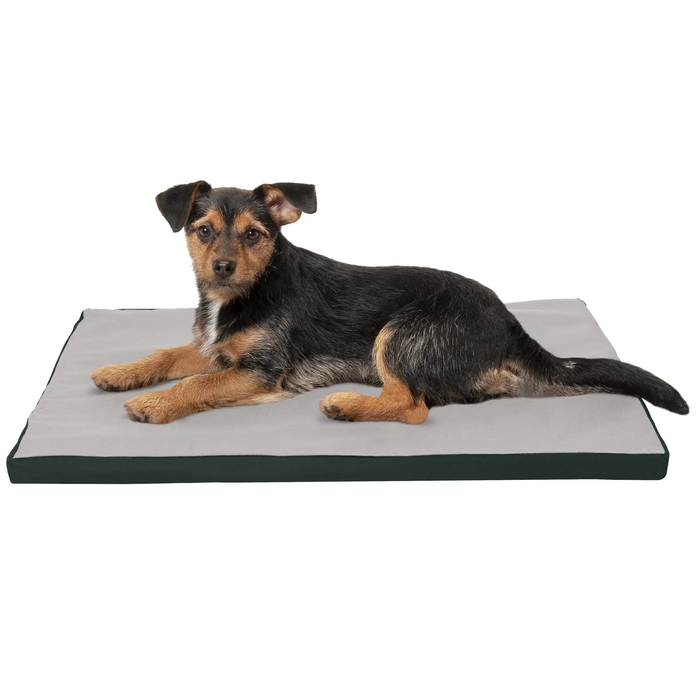 FurHaven Pet Products Kennel Pad Pet Bed for Crates - Green. Small