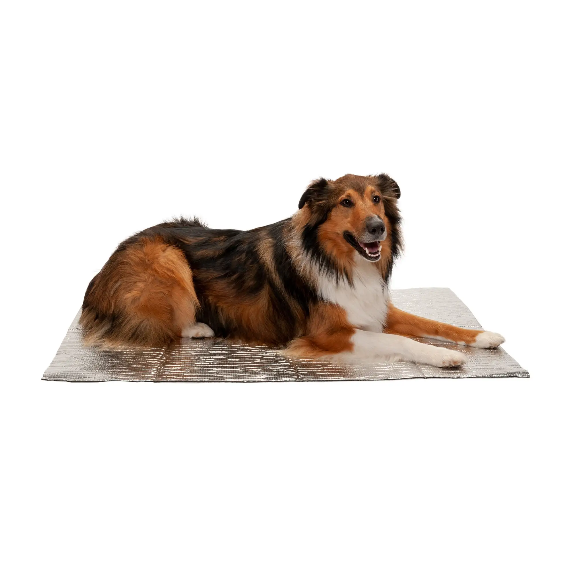 FurHaven | ThermaPup Self-Warming Pad. Silver. Jumbo