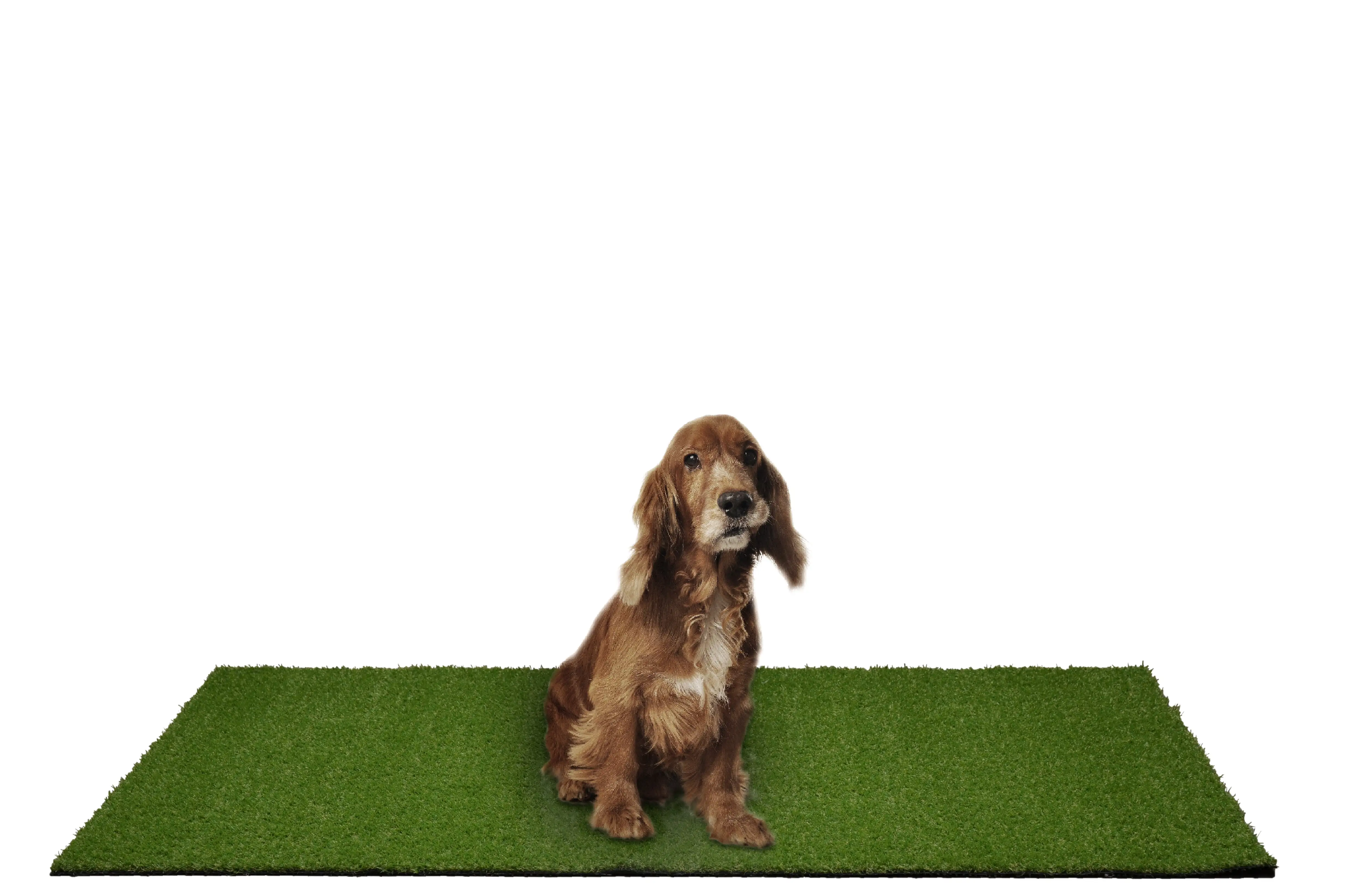 Garland Puppy Pee Pad 3 ft. x 4 ft. Easy Clean with Drainage Holes. Non-Toxic Realistic Artificial Grass Turf