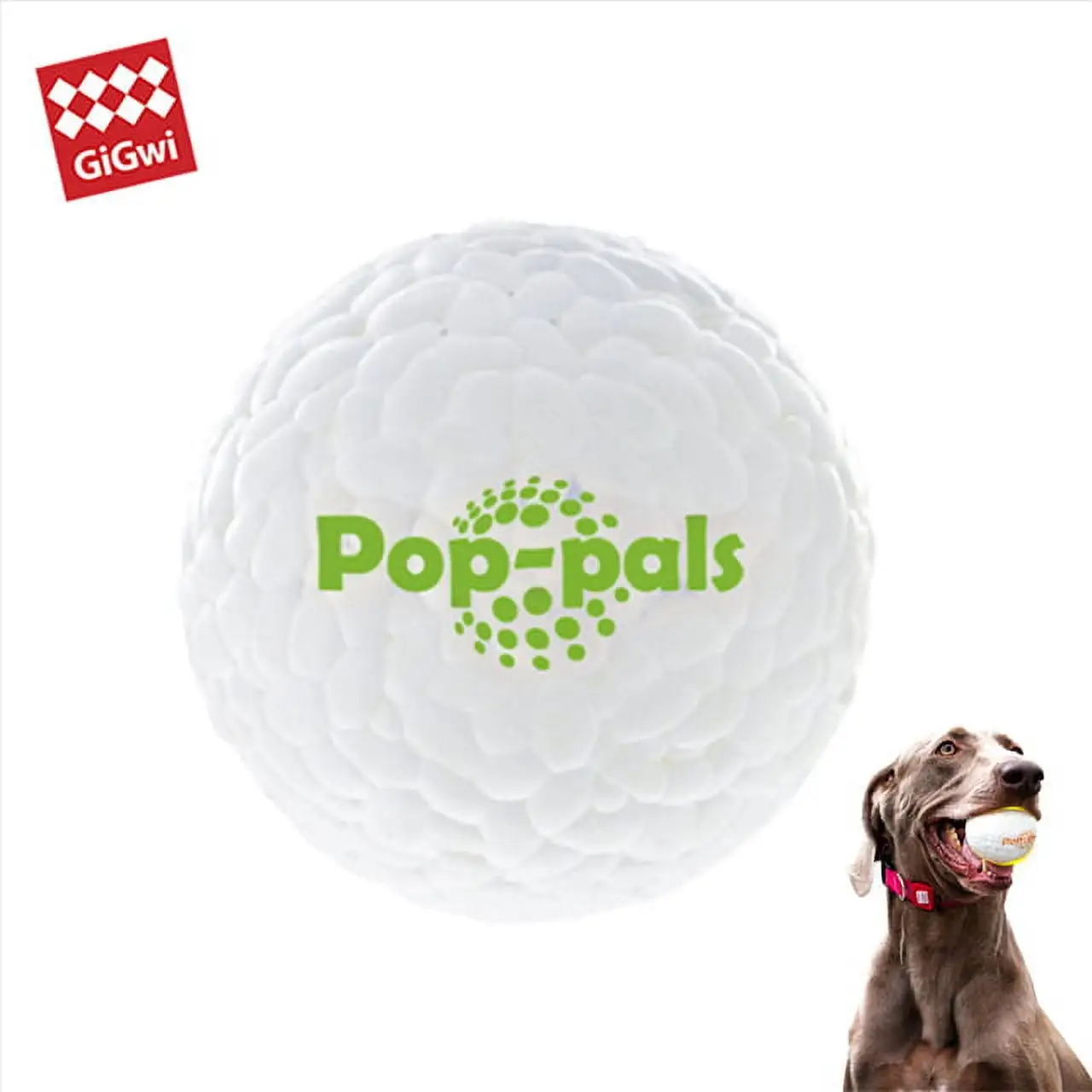 GiGwi Pop Ball Puppy Dog Toy Bite Resistant Molar Pet Self High Boring Artifact Large Dog Ball High Elasticity Light Weight. Indestructible Durable Bouncy Floating Balls for Dogs to Fetch