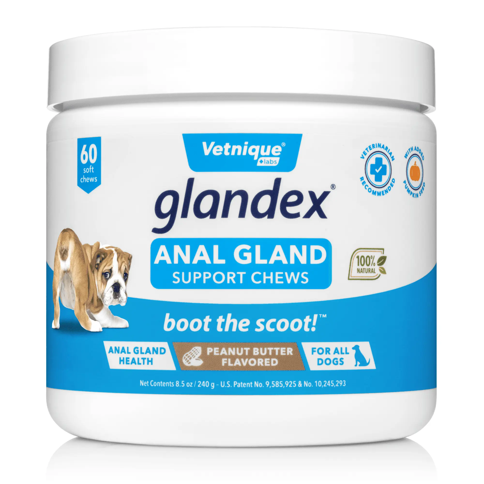 Glandex Anal Gland Soft Chew Treats with Pumpkin for Dogs with Digestive Enzymes. Probiotics Fiber Supplement for Dogs - 60ct Peanut Butter Chews