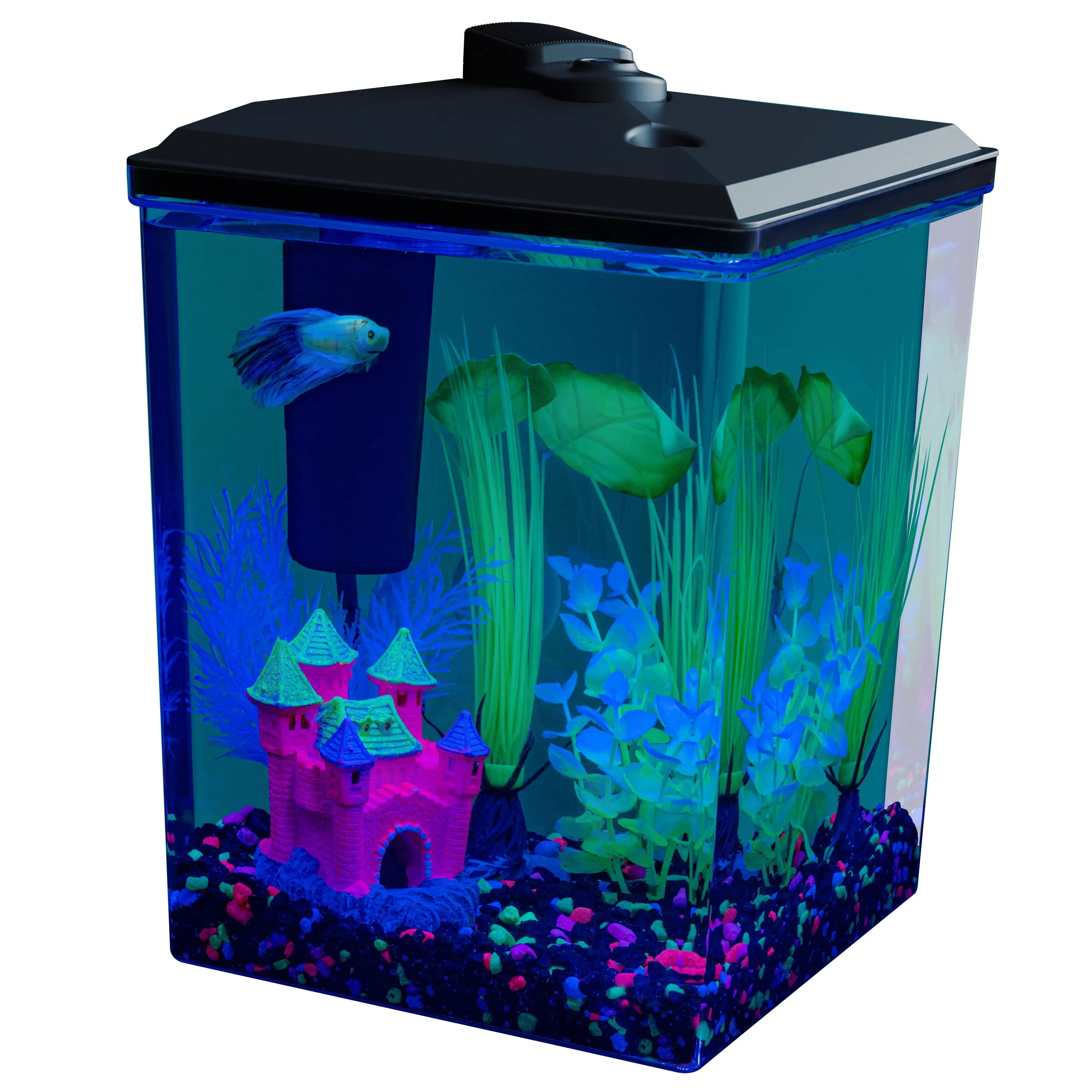 GloFish 2.5 Gallon Corner Aquarium Kit. Includes LED Lighting and Filtration Perfect for GloFish Betta Fish Tank