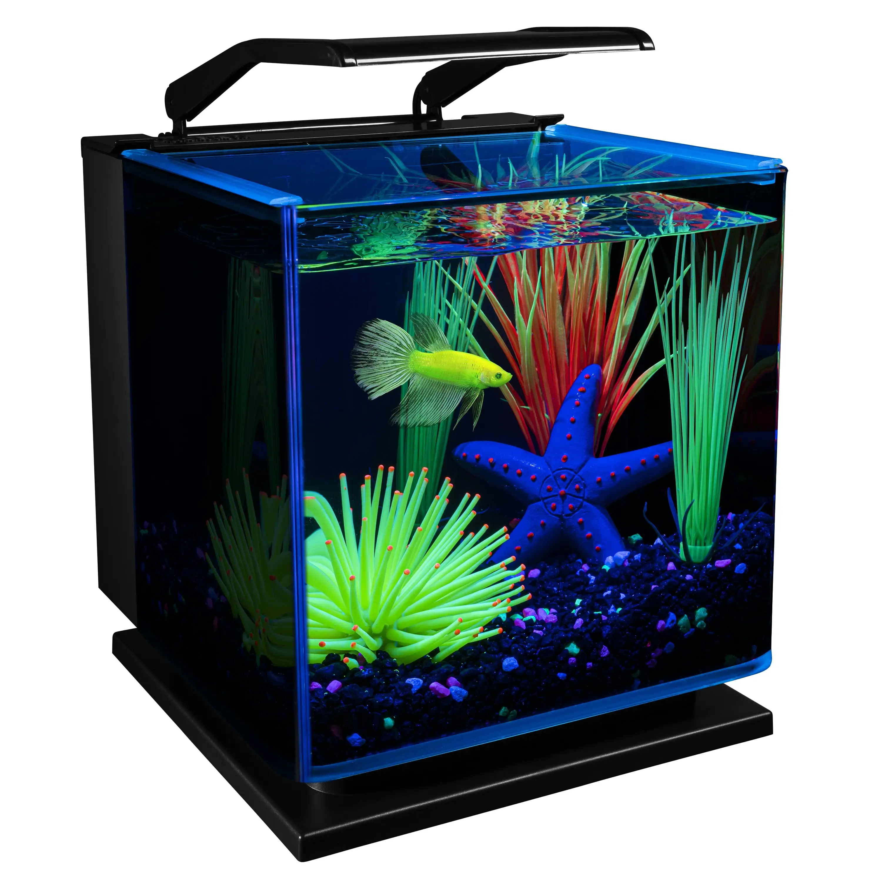 GloFish Betta Glass Aquarium Kit 3 Gallons. Includes LED Lighting and Filter