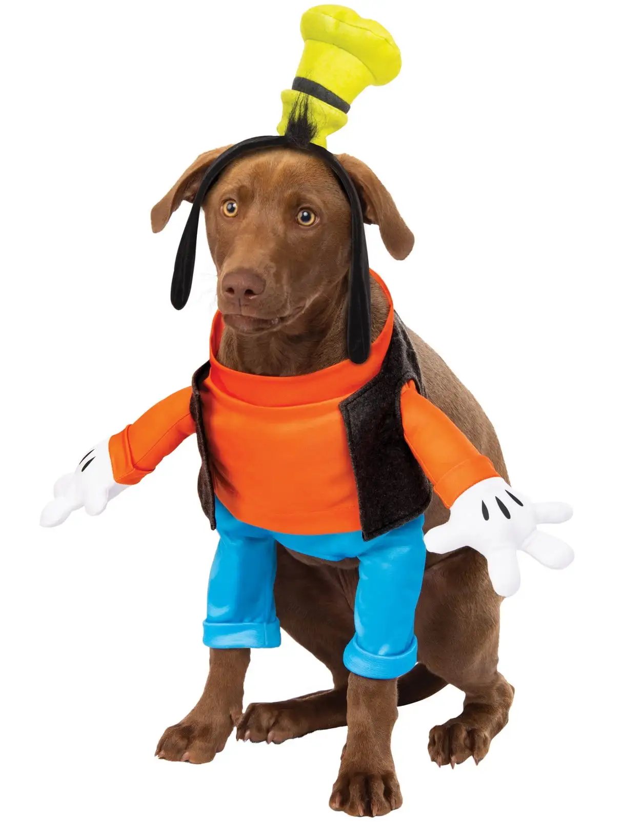 Goofy Pet Costume