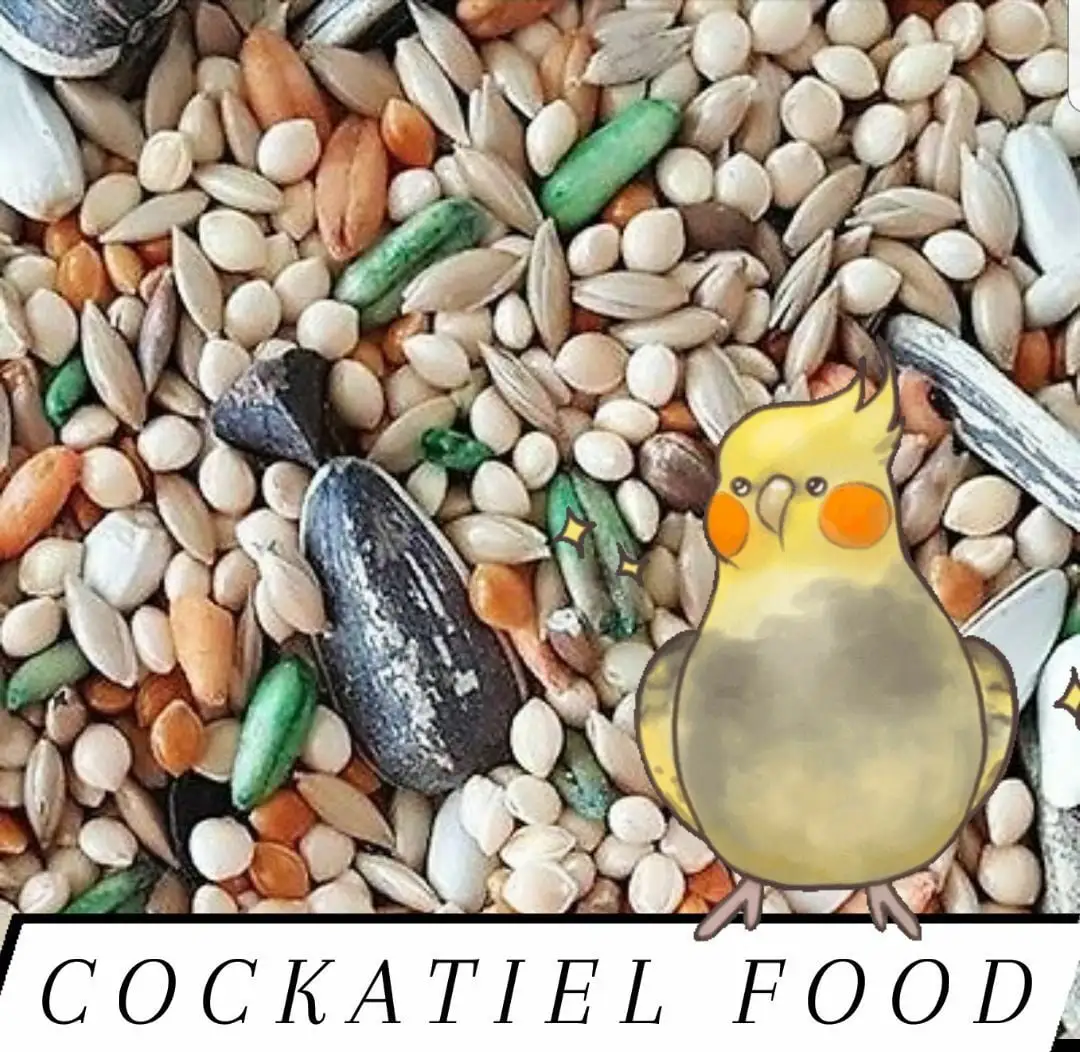 Gourmet Cockatiel Food Fortified w/ Vitamins Choose Size