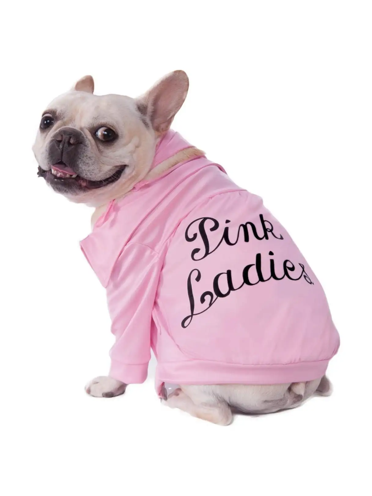 Grease Pink Ladies Jacket Pet Costume