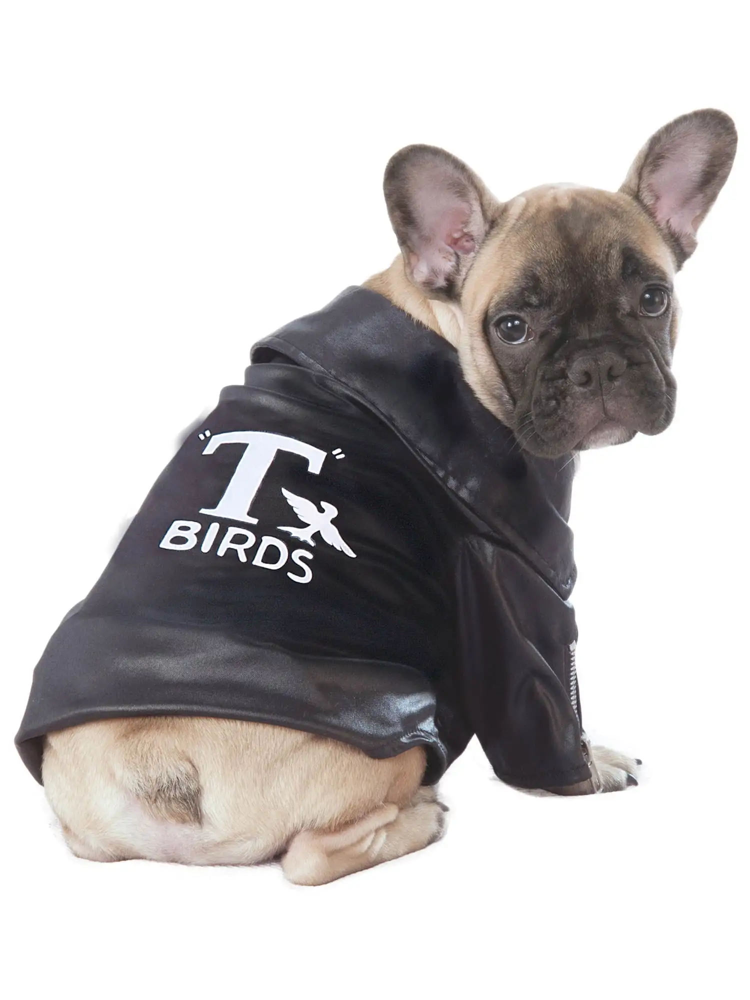 Grease T-Birds Jacket Pet Costume