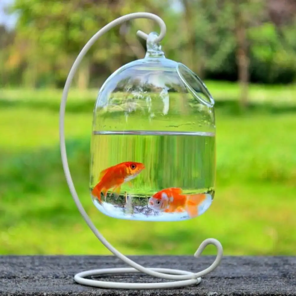 Hanging Ball Terrarium with Bent Stable Stand Glass Mini Fish Tank Flower Vase Plant Bottle Garden