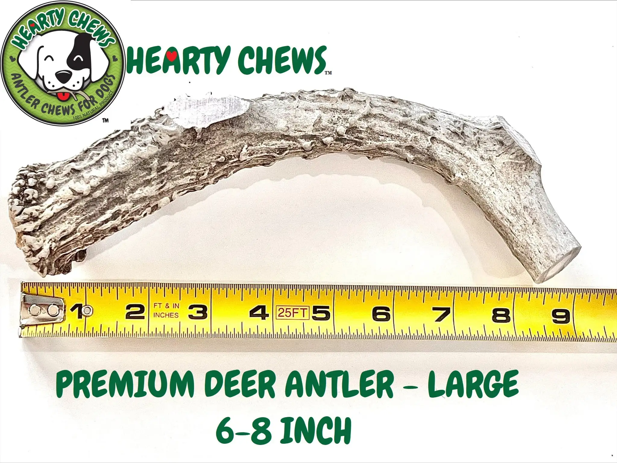 Hearty Chews - Premium DEER Antlers for Dogs. Naturally Shed. Organic Grade A Antler Chew. Supports Teeth & Gum Health. Long Lasting Treat from Heartland Regions - LARGE (About 6-8 inches)