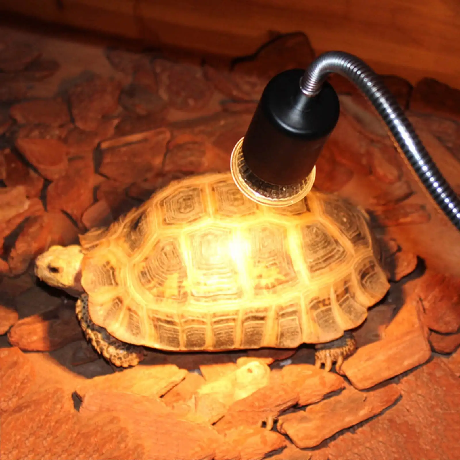 Heating Lamp Turtle Basking Lamp Heating Pet Warm Bulb