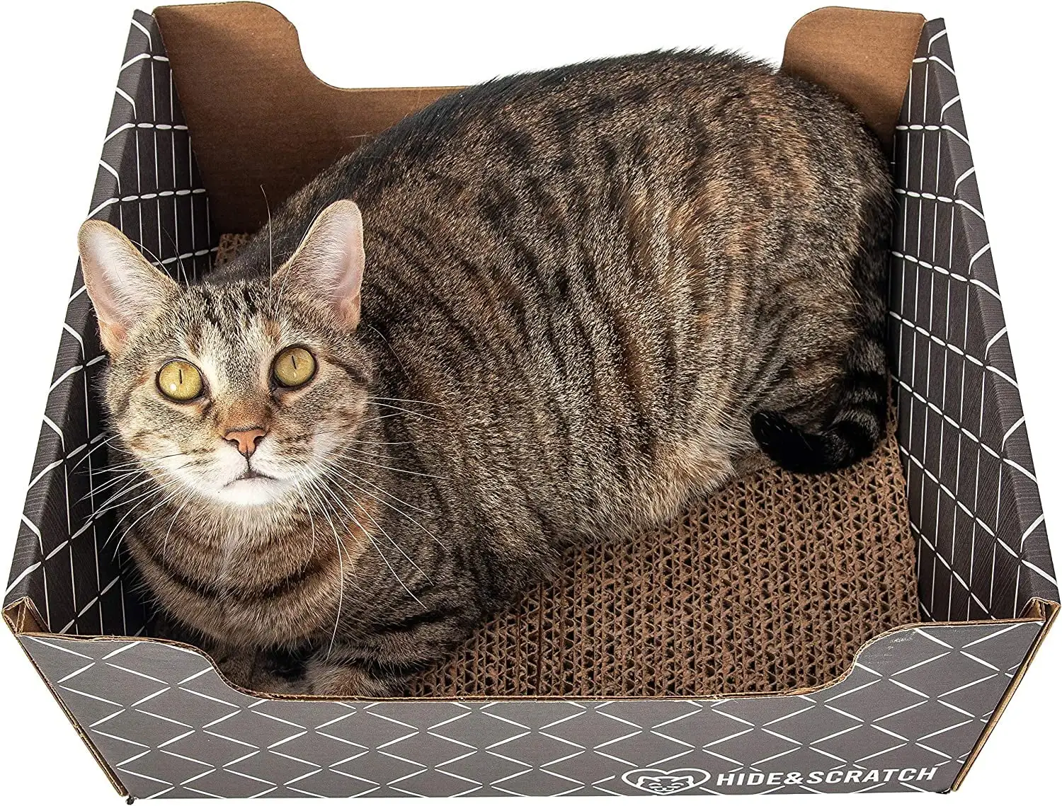 Hide & Scratch: Extra-Large Heavy Duty Cardboard Cat Scratcher and Lounger Box with Refillable Scratch Pad (Dark Brown Diamond)