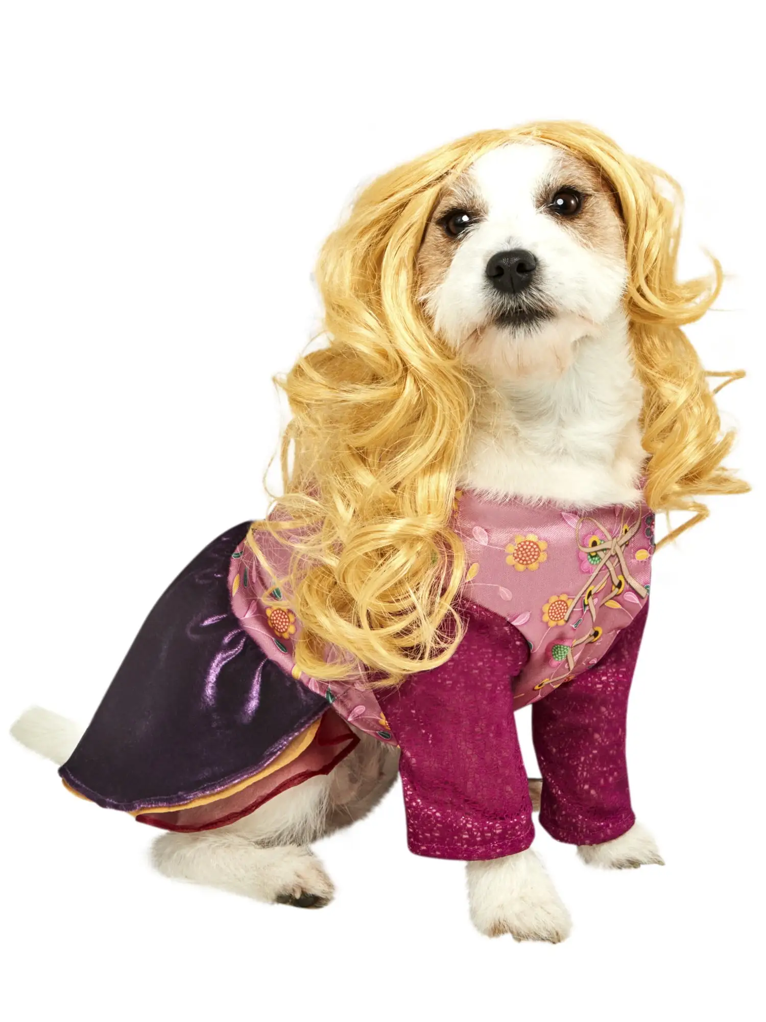 Hocus Pocus Sarah Pet Costume