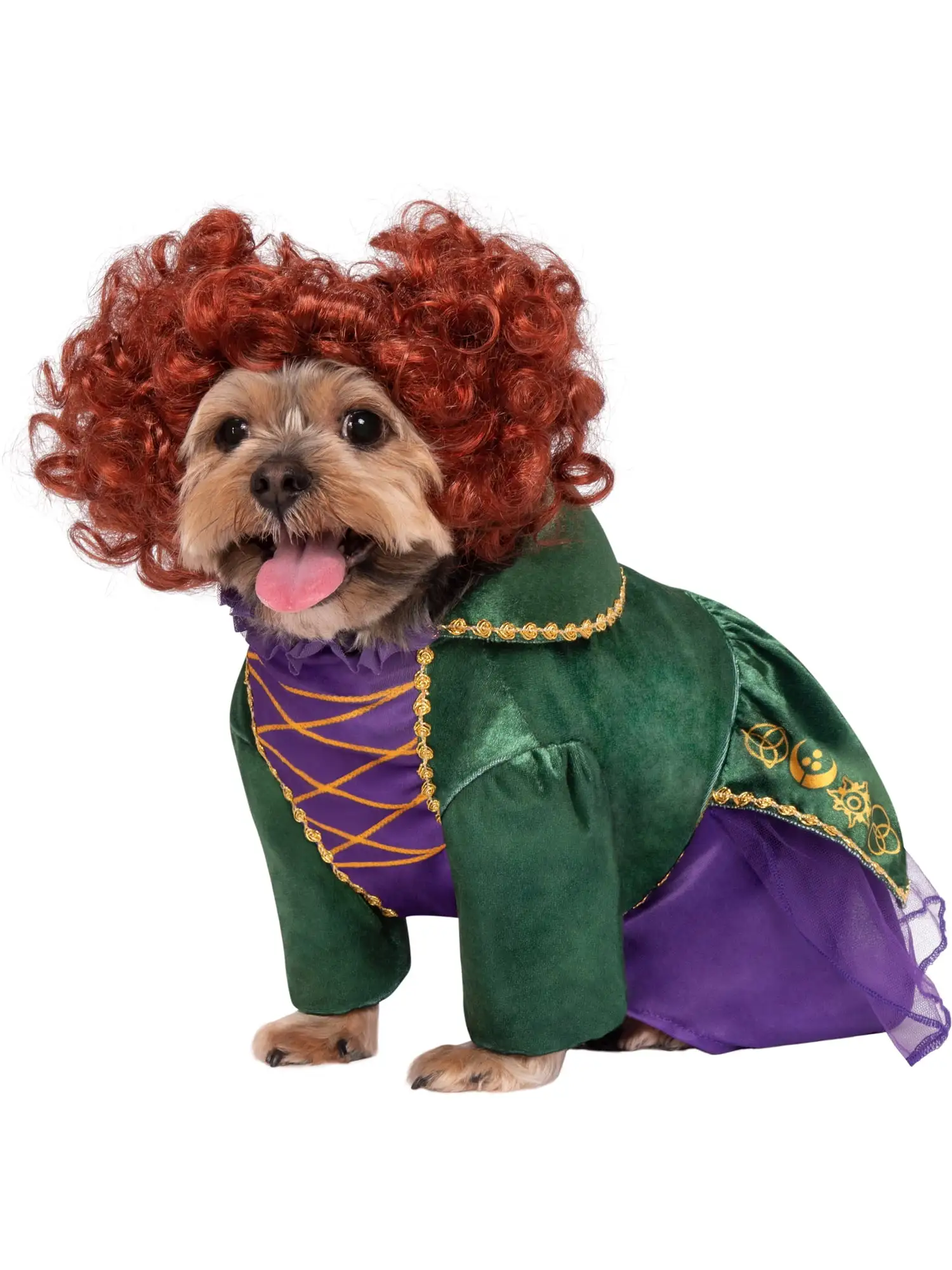 Hocus Pocus: Winifred Pet Costume