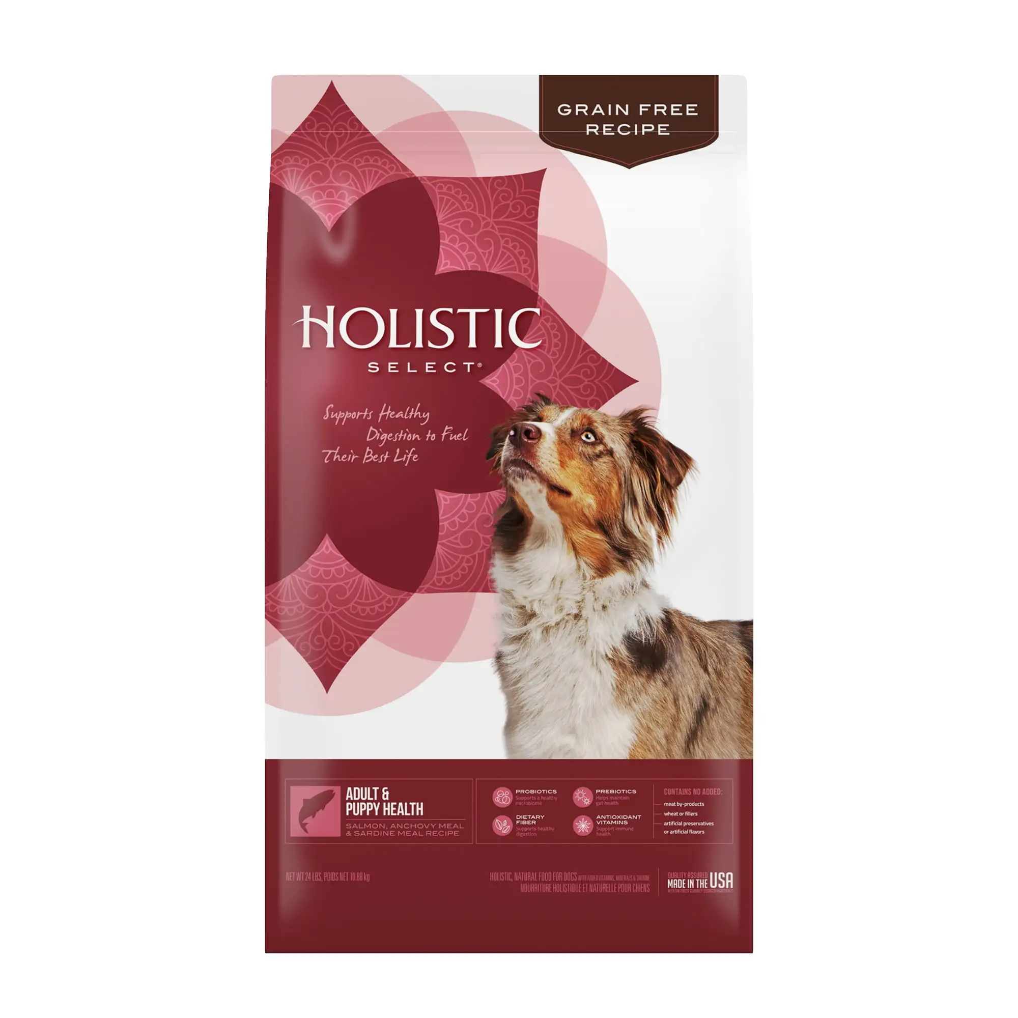 Holistic Select Natural Grain Free Dry Dog Food. Adult & Puppy Salmon. Anchovy & Sardine Recipe. 24-Pound Bag