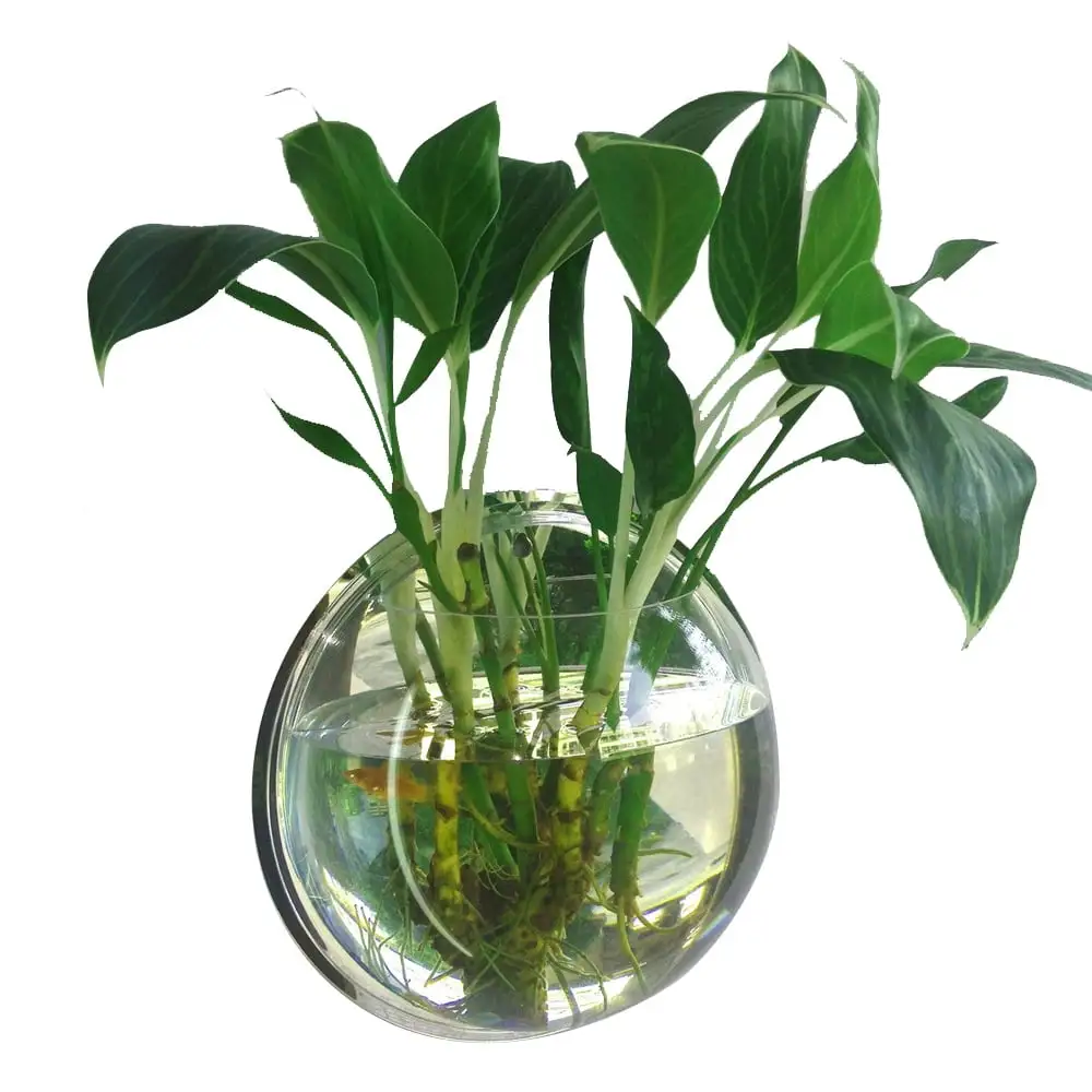 Home Decoration Wall Mount Fish Tanks Goldfish Bowl Acrylic Hanging Aquariums Flowerpot Flower Vase