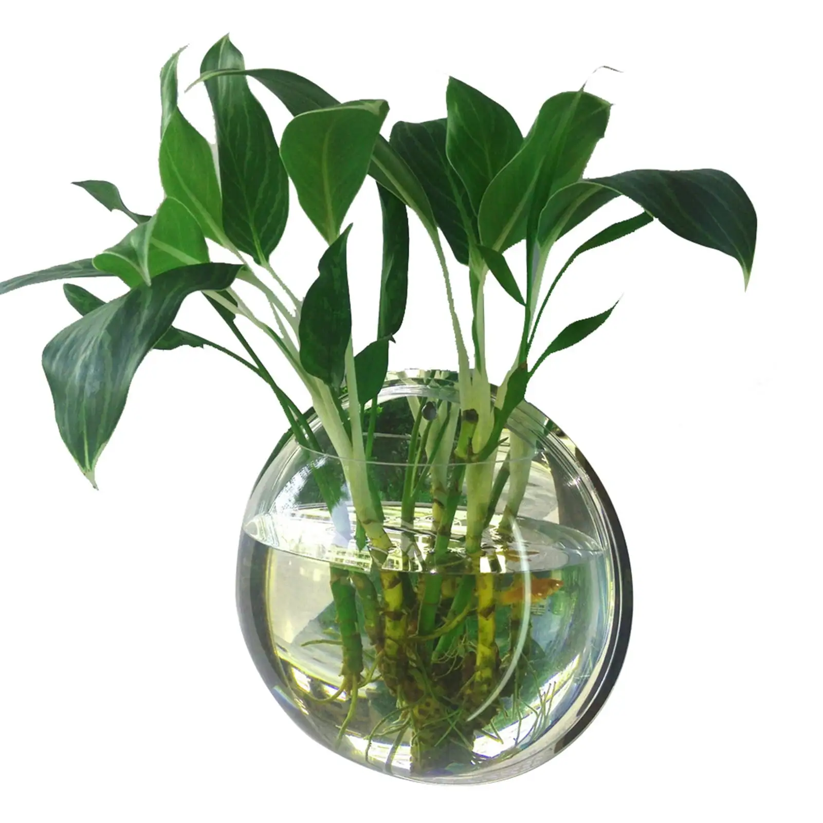 Home Decoration Wall Mount Fish Tanks Goldfish Bowl Acrylic Hanging Aquariums Flowerpot Flower Vase