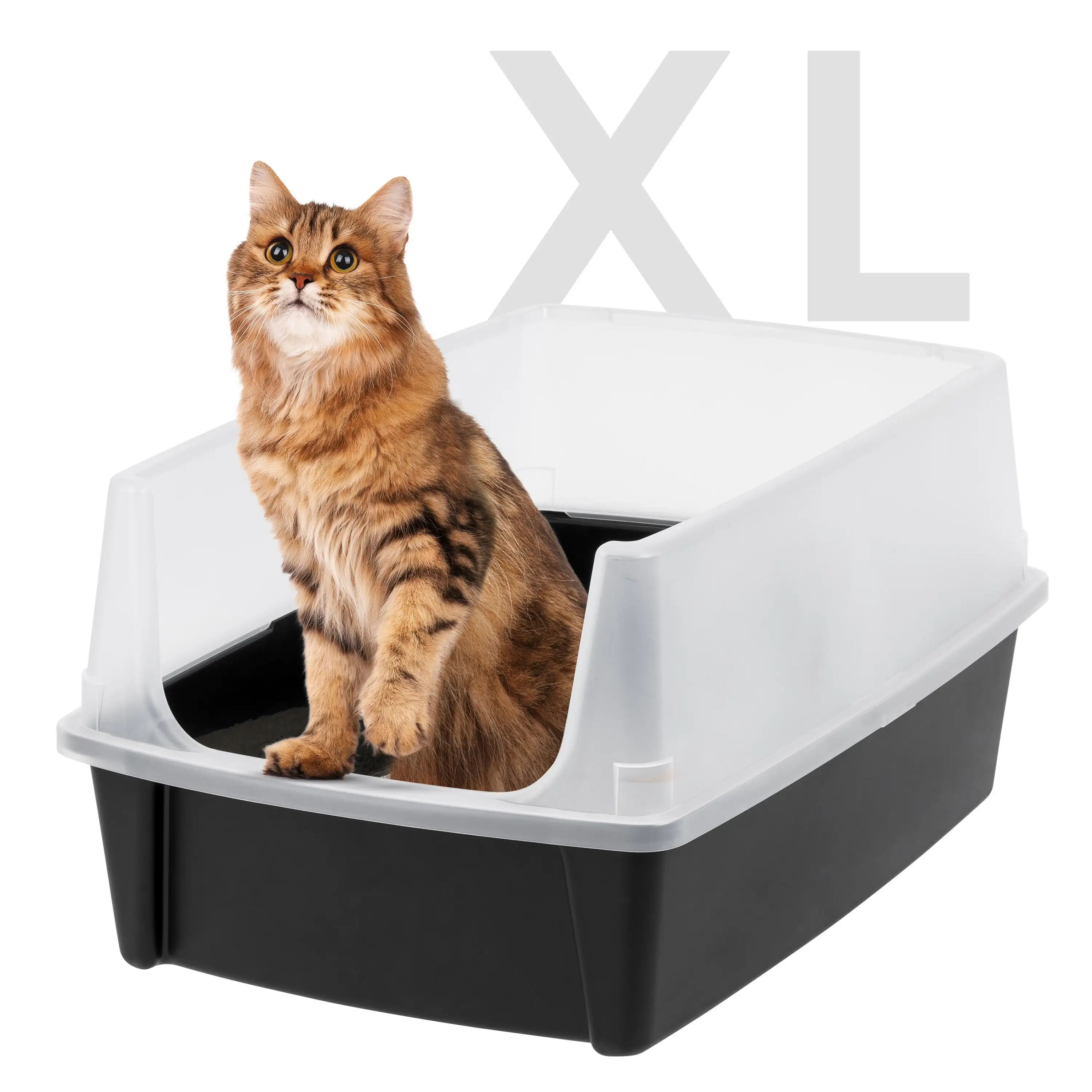 IRIS USA Extra Large Open Top Cat Litter Box with Scatter Shield. Sturdy Easy to Clean Open Air Kitty Litter Pan with Tall Spray. Black