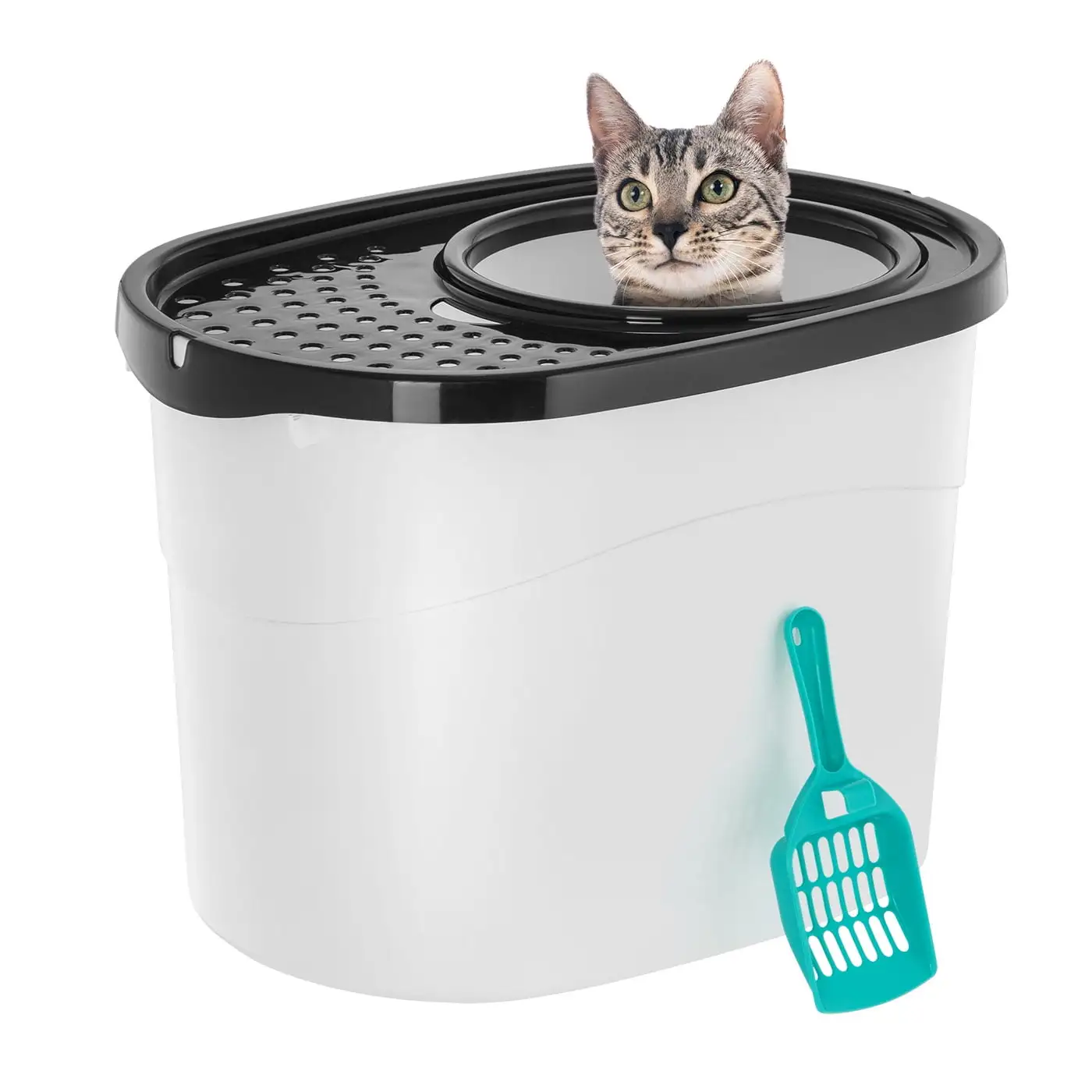 IRIS USA Large Oval Top Entry Cat Litter Box with Litter Catching Lid Privacy Walls and Scoop. White