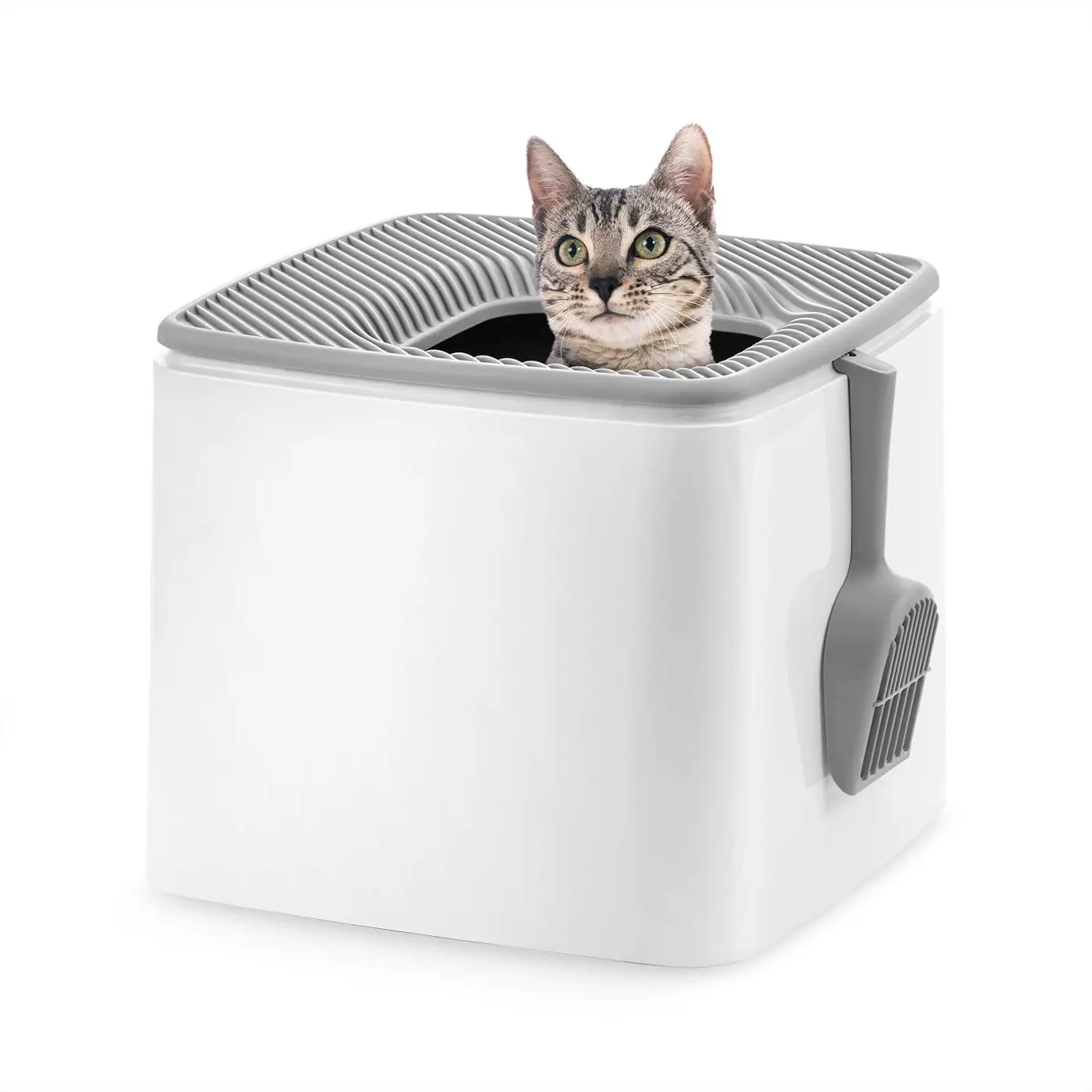 IRIS USA Premium Top Entry Cat Litter Box Litter Particle Catching Cover and Privacy Walls with Scoop. White