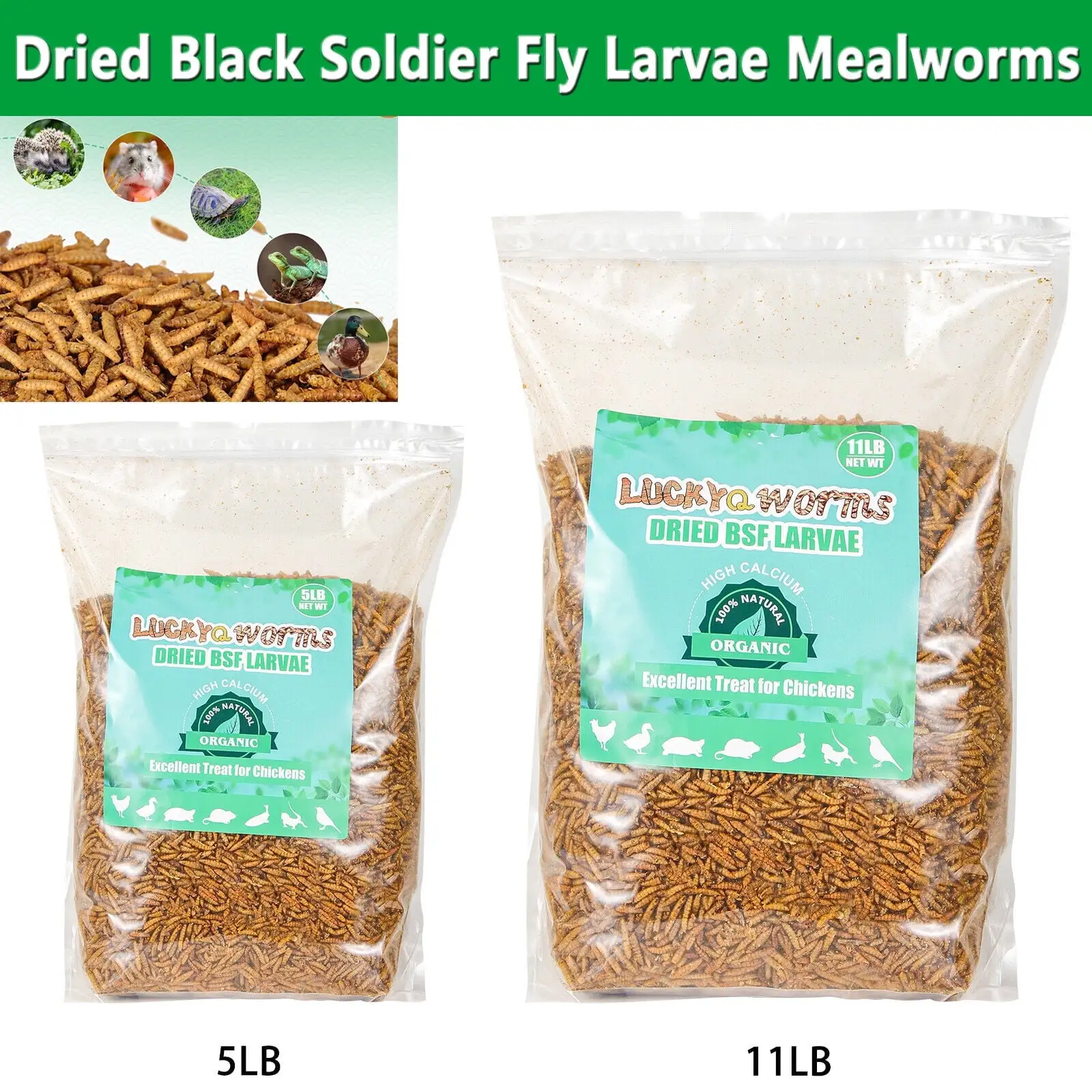 5LBS Dried Black Soldier Fly Larvae 85X More Calcium Than Mealworms High-Protein BSFL Chicken Treats