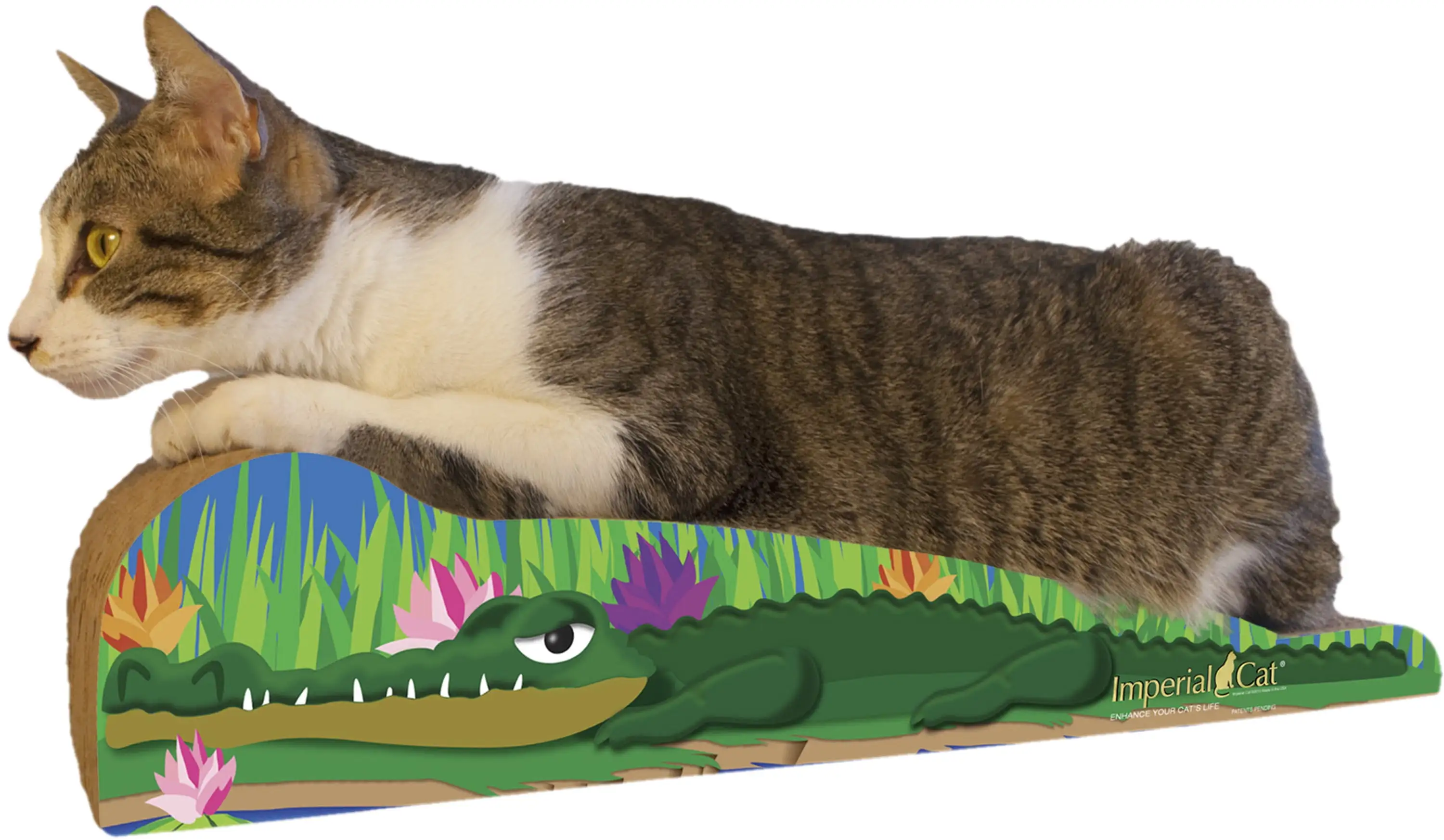 Imperial Cat Scratch 'n Shapes Crocodile