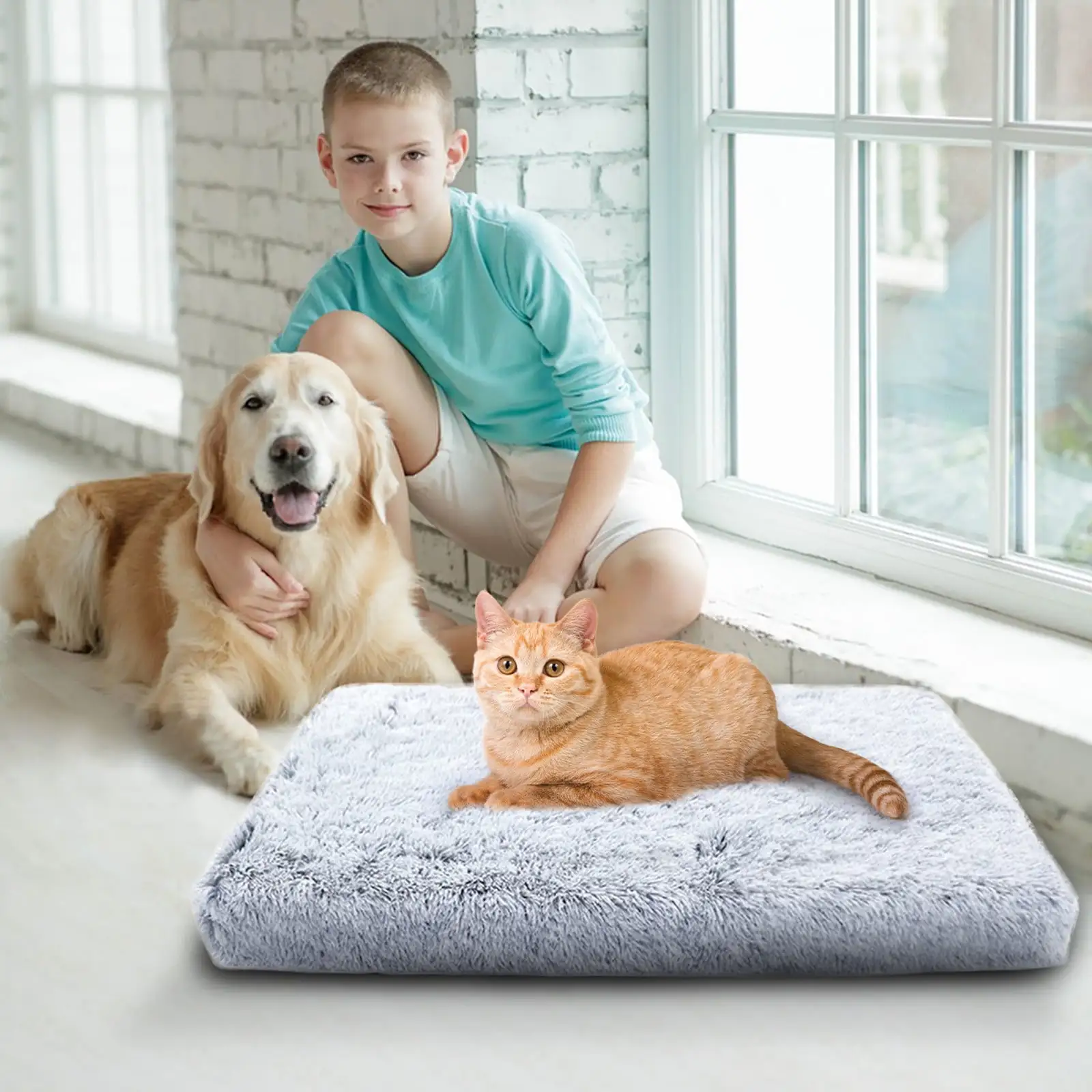 Isvgxsz New Pet Essentials Dog Bed Orthopedic Dog Bed Plush with Carton Foam Cotton Removable Cover Washable Non-Slip Bottom Suitable for Large. Medium and Small Dogs and Cats Home Decor