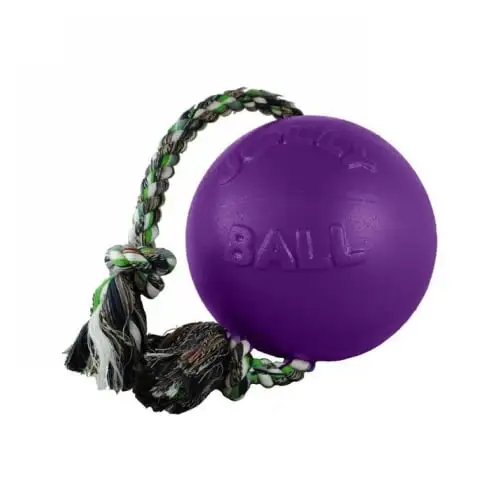 Jolly Pets Romp-n-Roll Dog Toy. 8. Purple