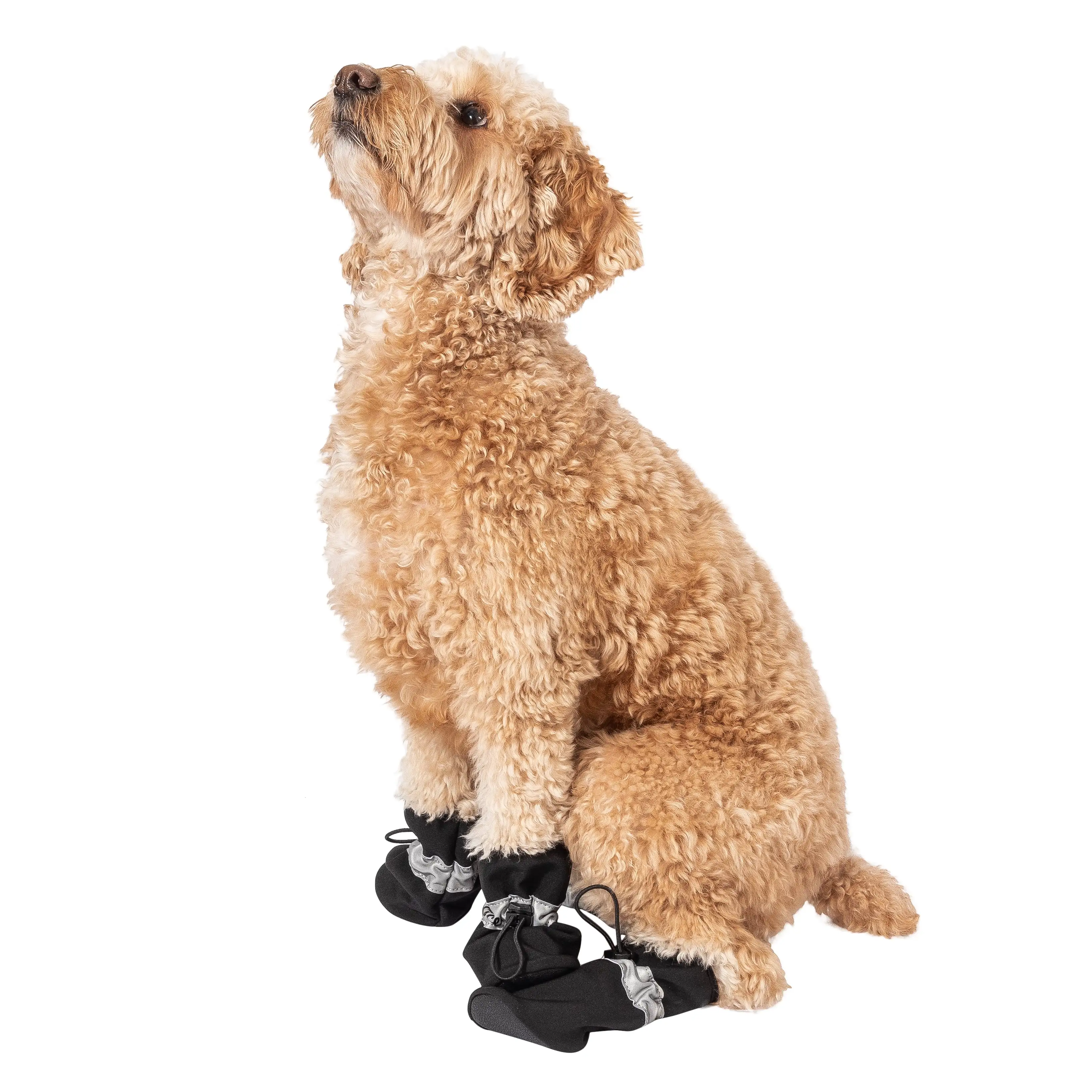 Justice Pet Reflective Booties. Black. S