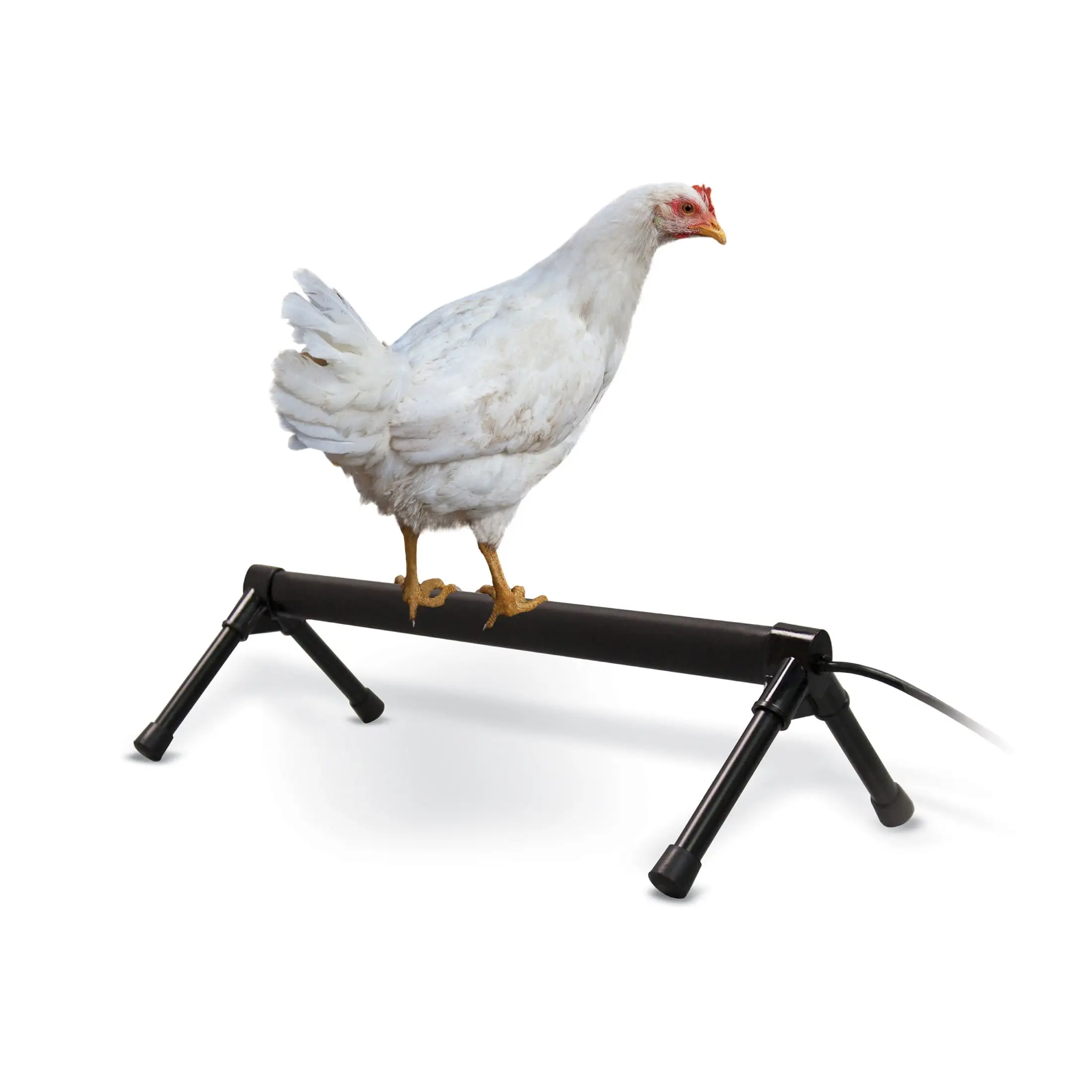 K&H Pet Products Thermo-Chicken Perch. 36. Gray