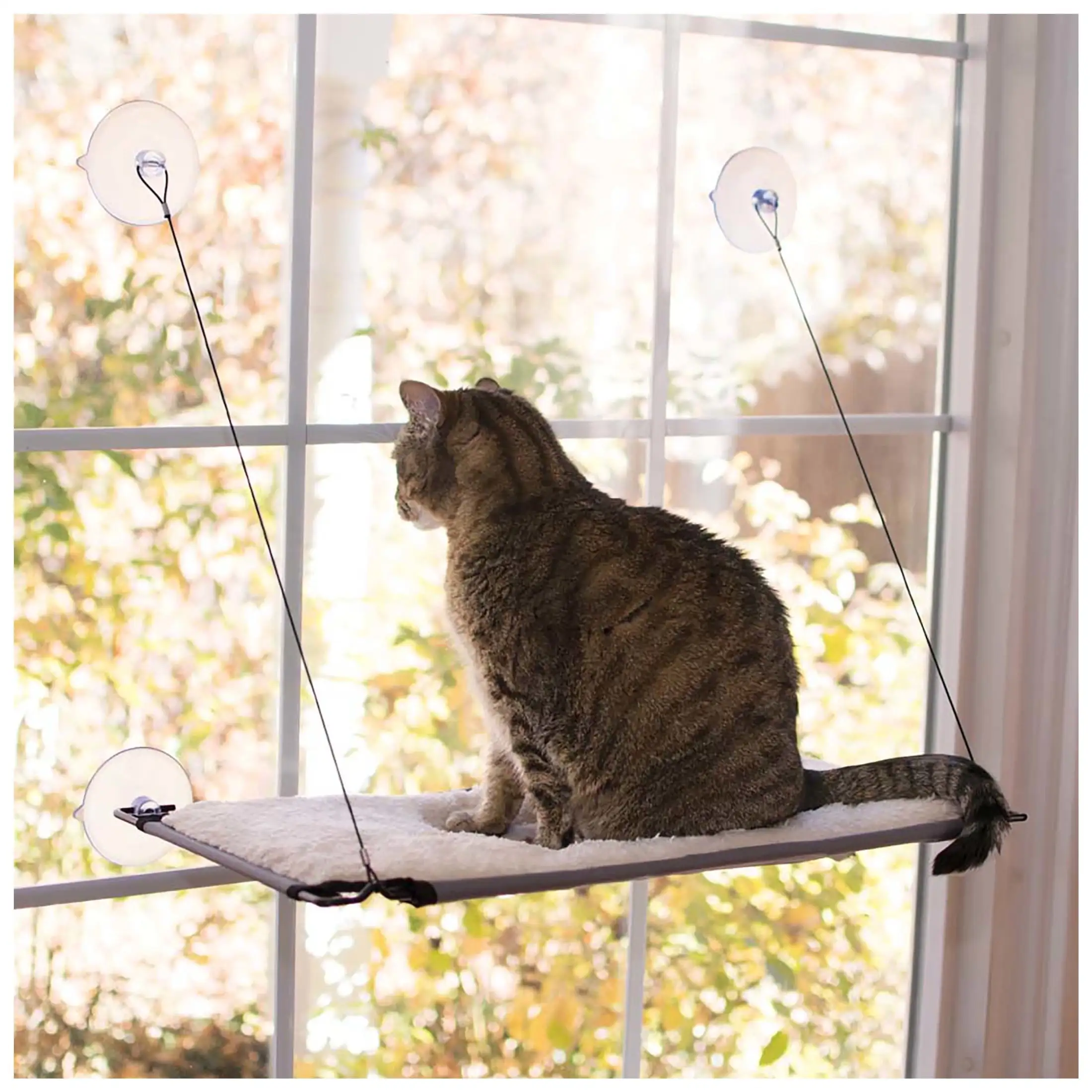 K&H Pet Products Window Lounger Cat Perch Natural 23 X 12 Inches