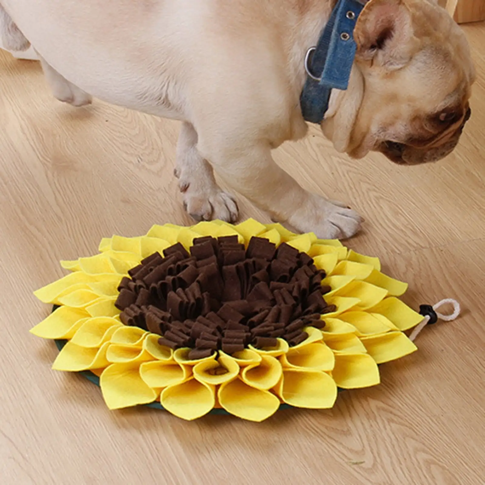 Kaesi Sunflower Shape Dog Snuffle Mat Puppy Training Sniffing Feeding Blanket Pet Pad