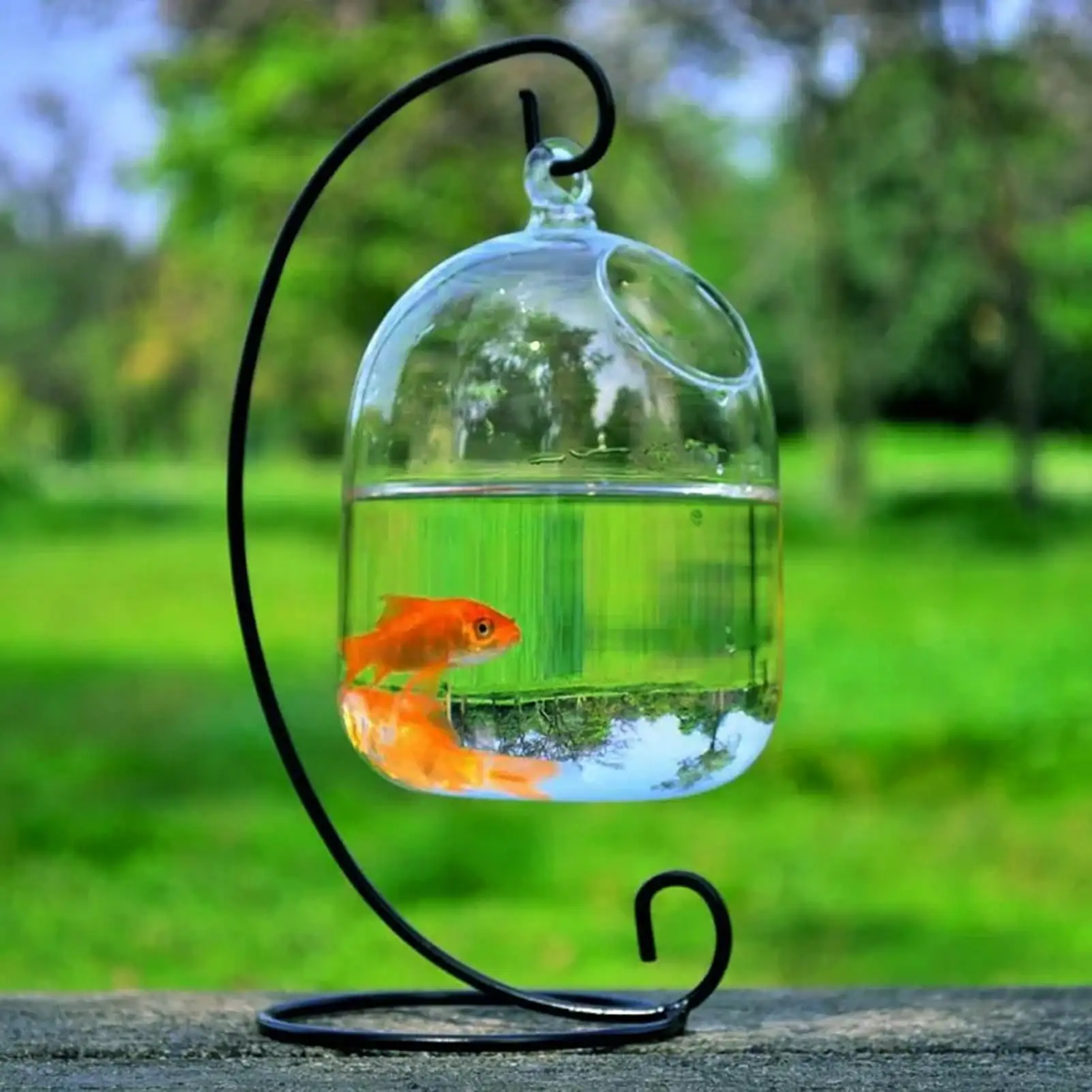 Kaola Vase Fishbowl Transparent Hanging Glass Creative Decor Fish Tank for Living Room