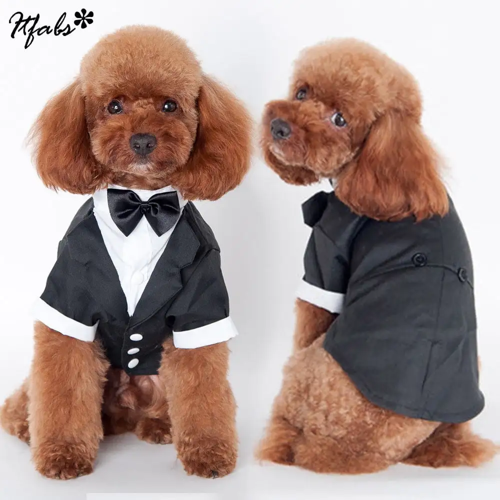 KelaJuan Dog Party Tuxedo Suit With Bow Tie. Charming Wedding Puppy Costume