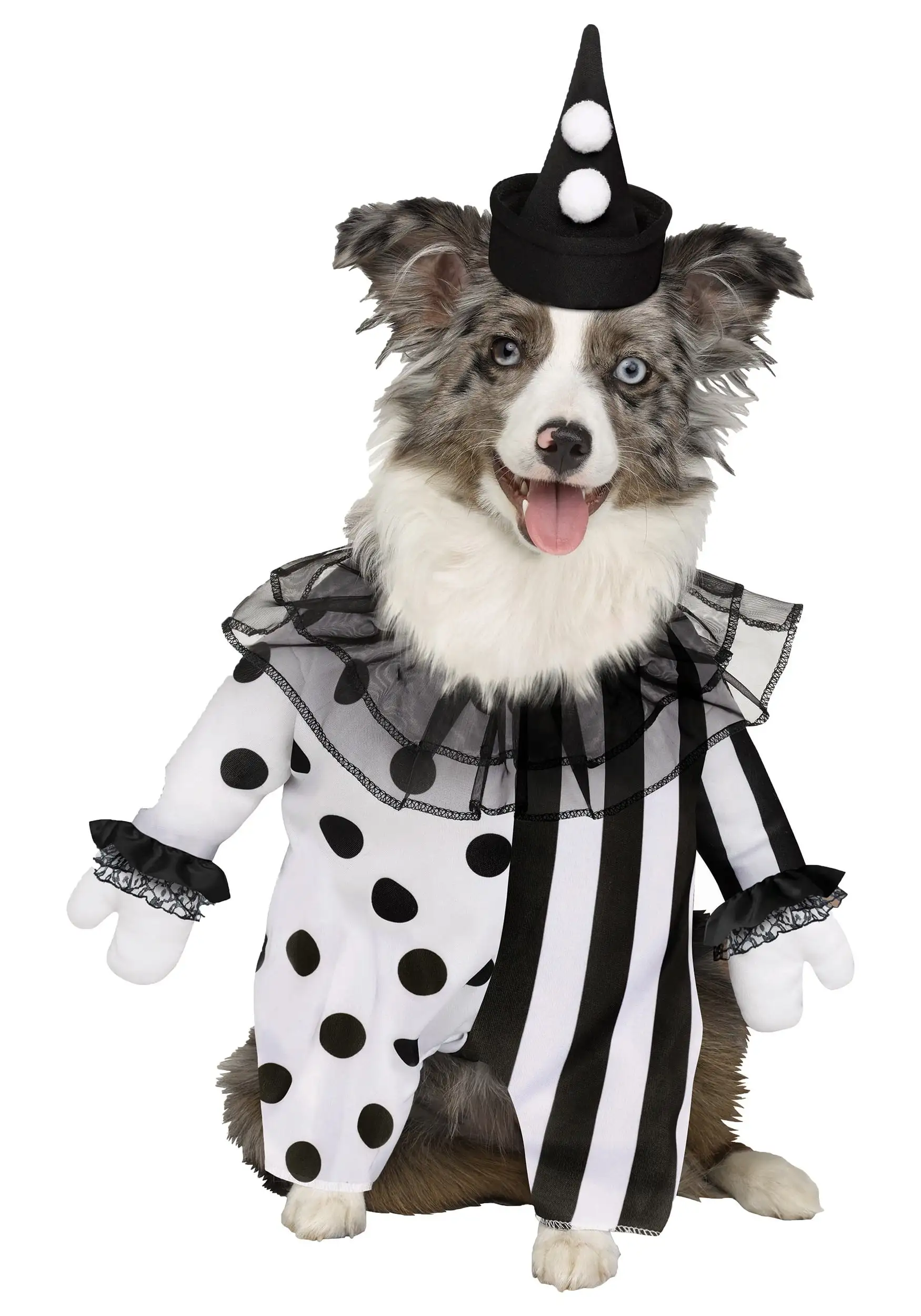 Killer Clown Costume for Pets