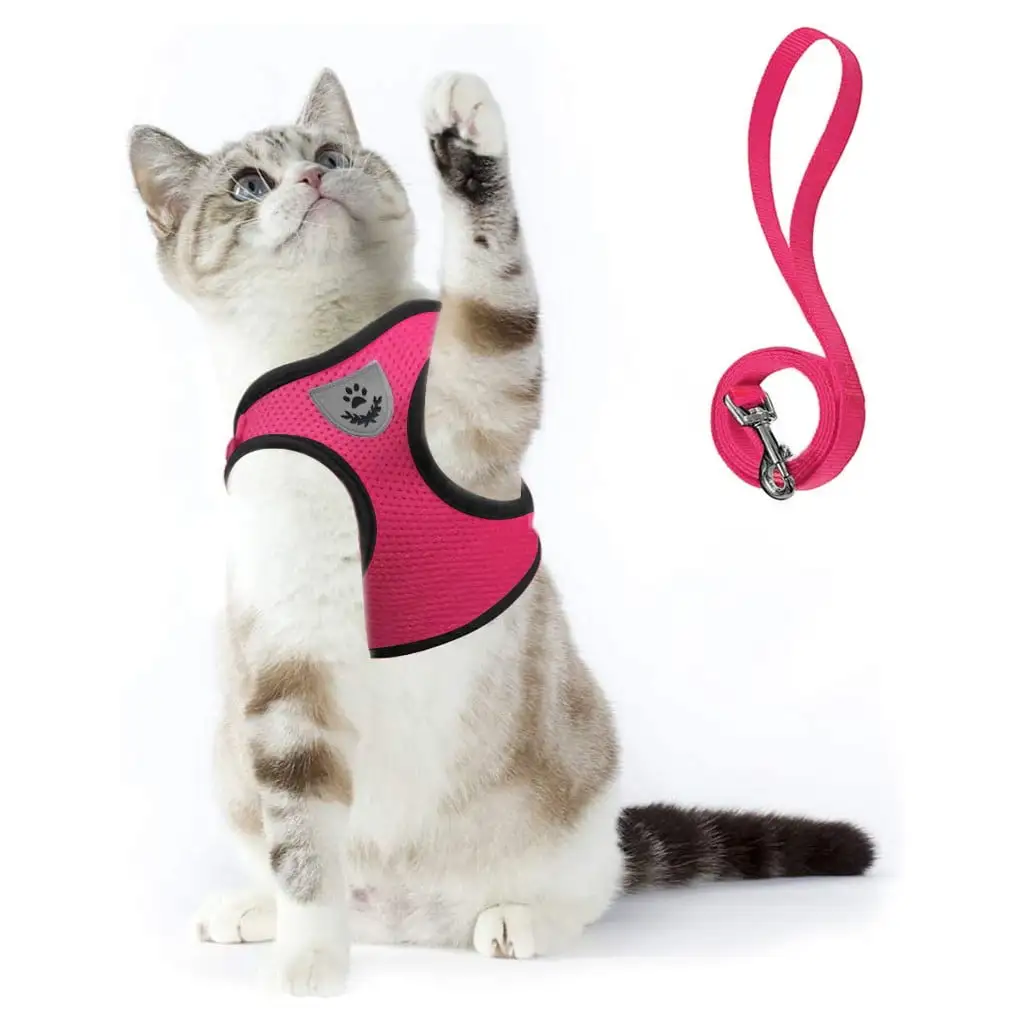 Kiplyki Wholesale Cat Harnesse And Leash Adjustable Soft Mesh Vest with Reflective Strap Metal