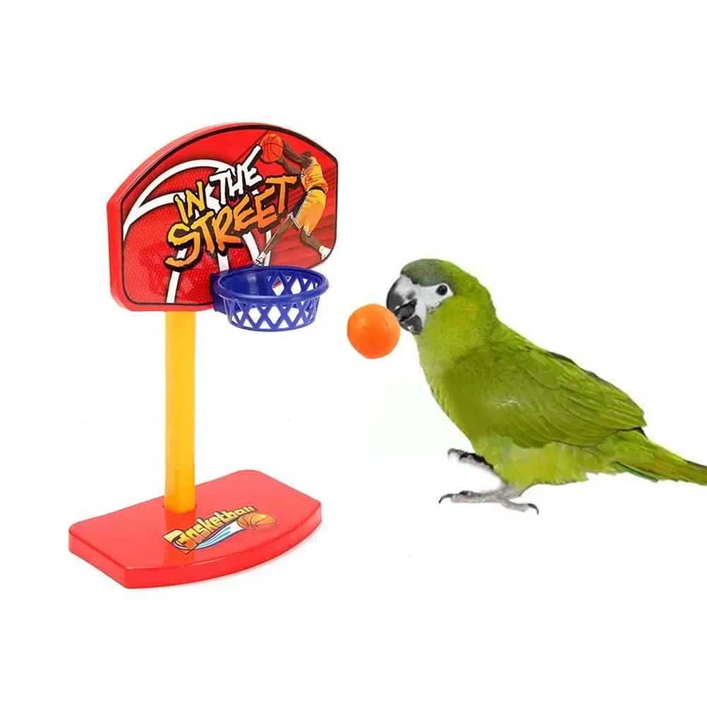 Kiplyki Wholesale Pet Parrot Toys Birdie Basketball Hoop Balls Birds Parakeet Bell Prop Chew Set