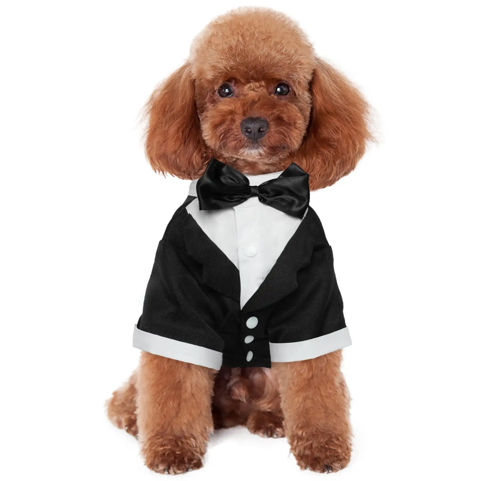 Kuoser Dog Tuxedo Dog Formal Suit with Bow Tie Pet Wedding Shirt.Black.XL