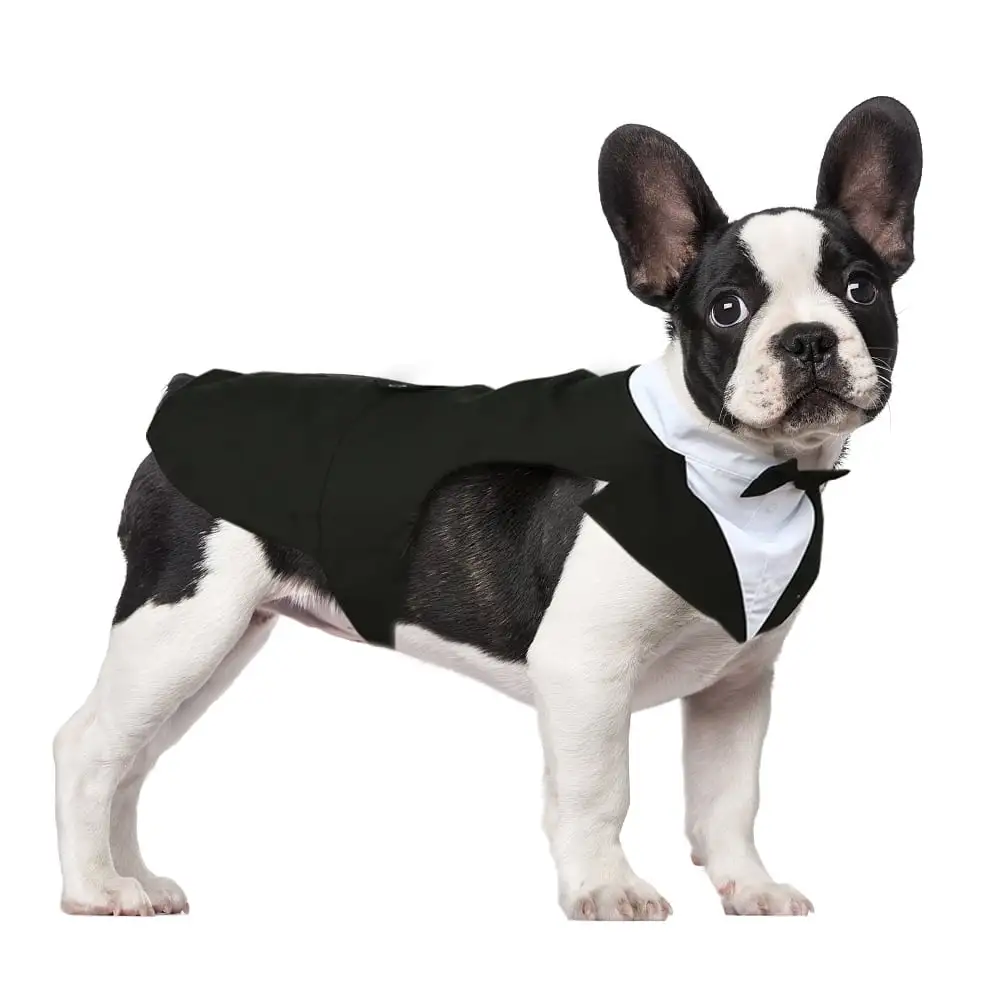 Kuoser Suit for Dogs. Dog Tuxedo Formal Suit and Bandanna Set. Wedding Suit for Dogs. Black. M