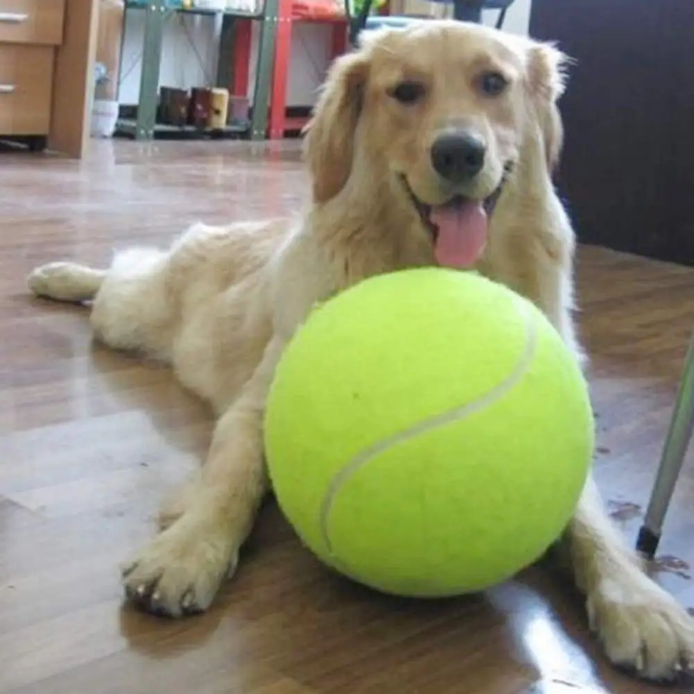 LEAQU 24cm Dog Tennis Ball Large Pet Toys Funny Outdoor Sports Dog Ball Gift