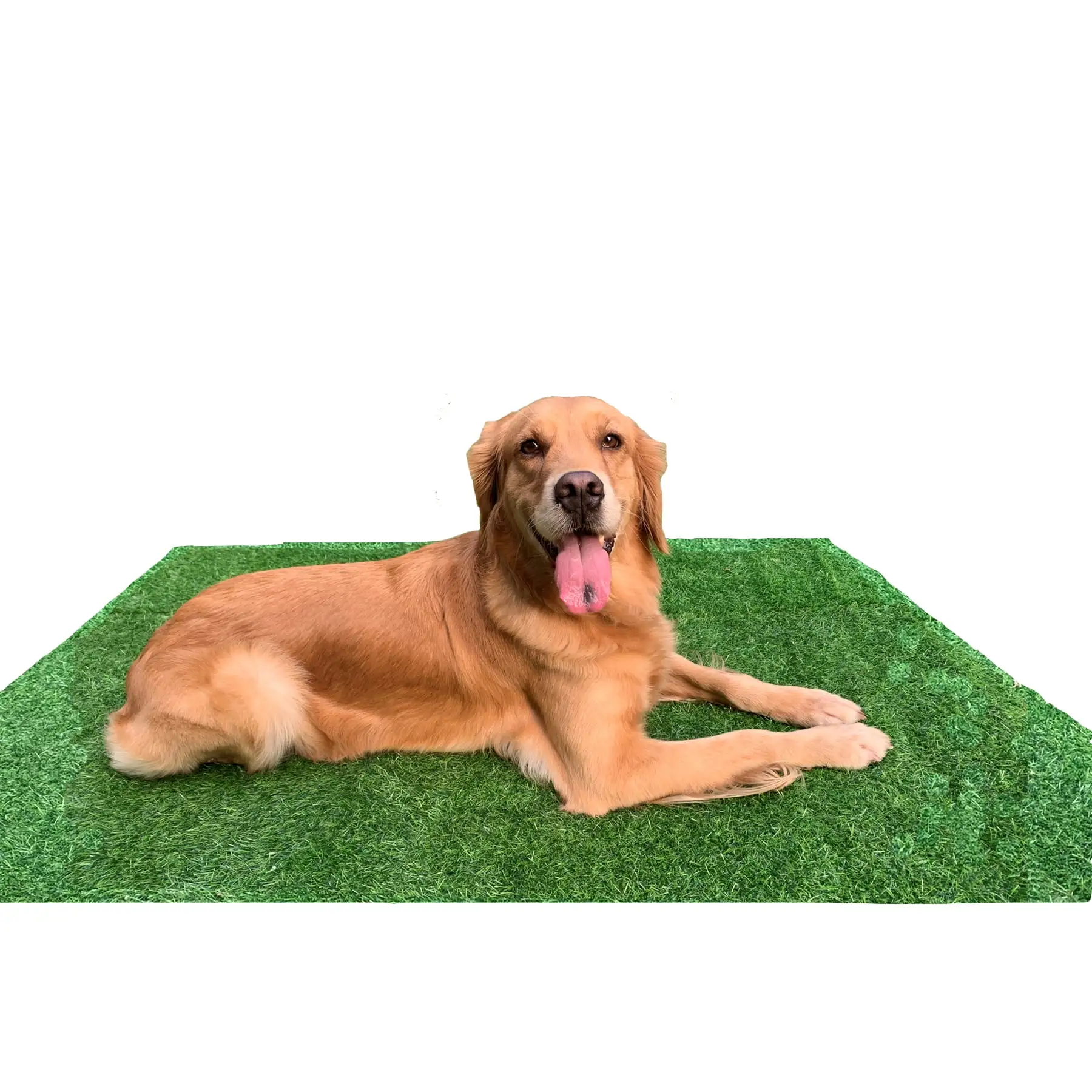 LOMANTOWN 51 x 40 Artificial Grass for Dogs Potty Training. Washable Reusable Turf Grass Pee Pads for Small to Large Dogs