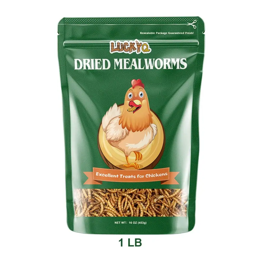 LUCKYQ Dried Mealworms 1LB.High-Protein Bulk Mealworms for Birds. Chickens. Turtles. Fish. Hamsters. and Hedgehogs. Non-GMO and Chemical Free. All Natural Animal Feed