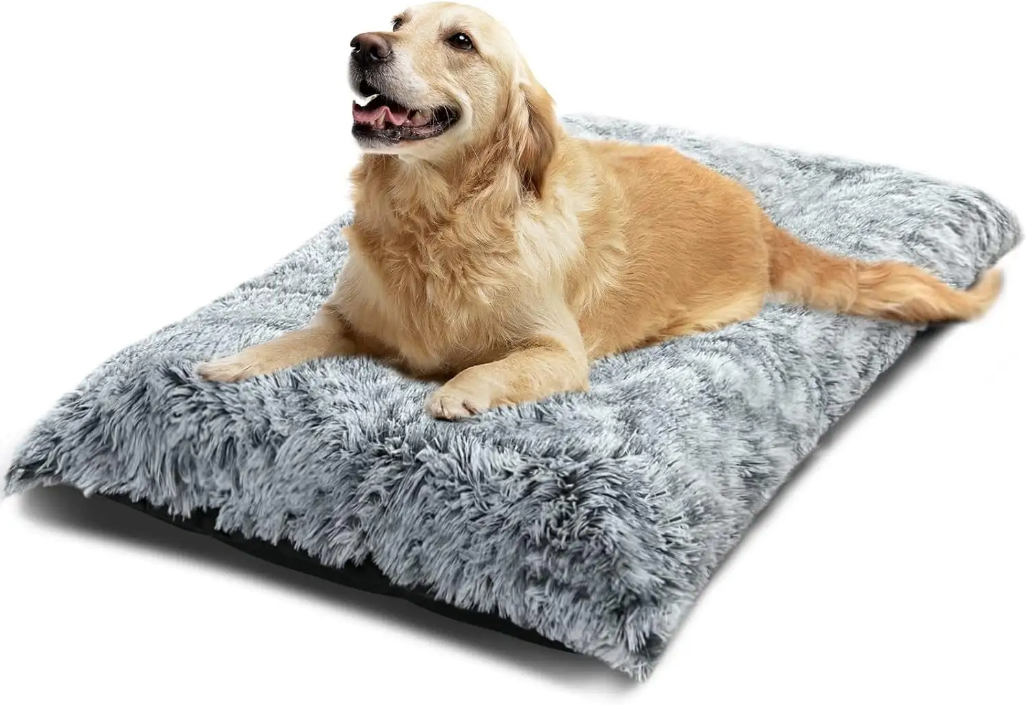 Large Dog Bed Washable Cat Dog Mats Anti-Slip Bottom Beige Large 41''??27'' Pet Beds for Large Dogs