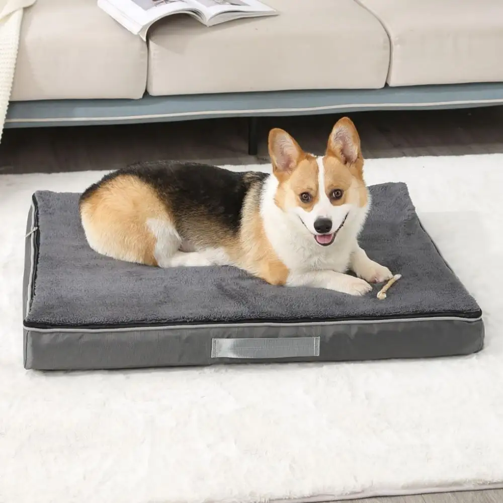 Large Orthopedic Dog Bed for Medium.Large Dogs. Washable Dog Cage Bed with Removable Waterproof Cover. Egg Crate Foam Pet Mattress