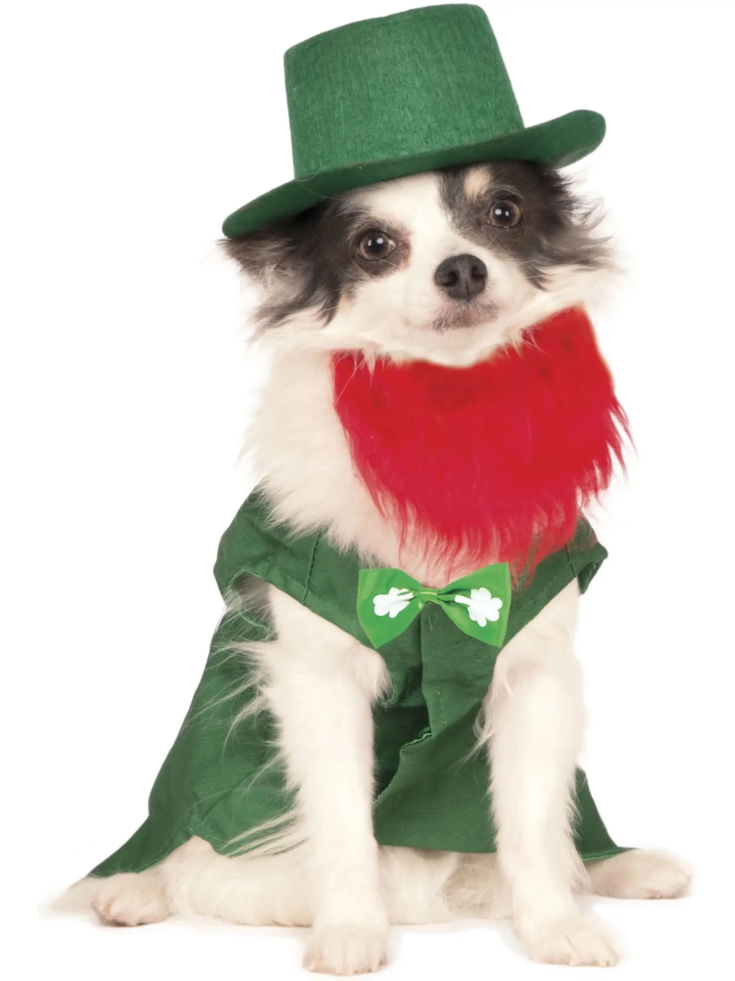 Leprechaun Pet Costume