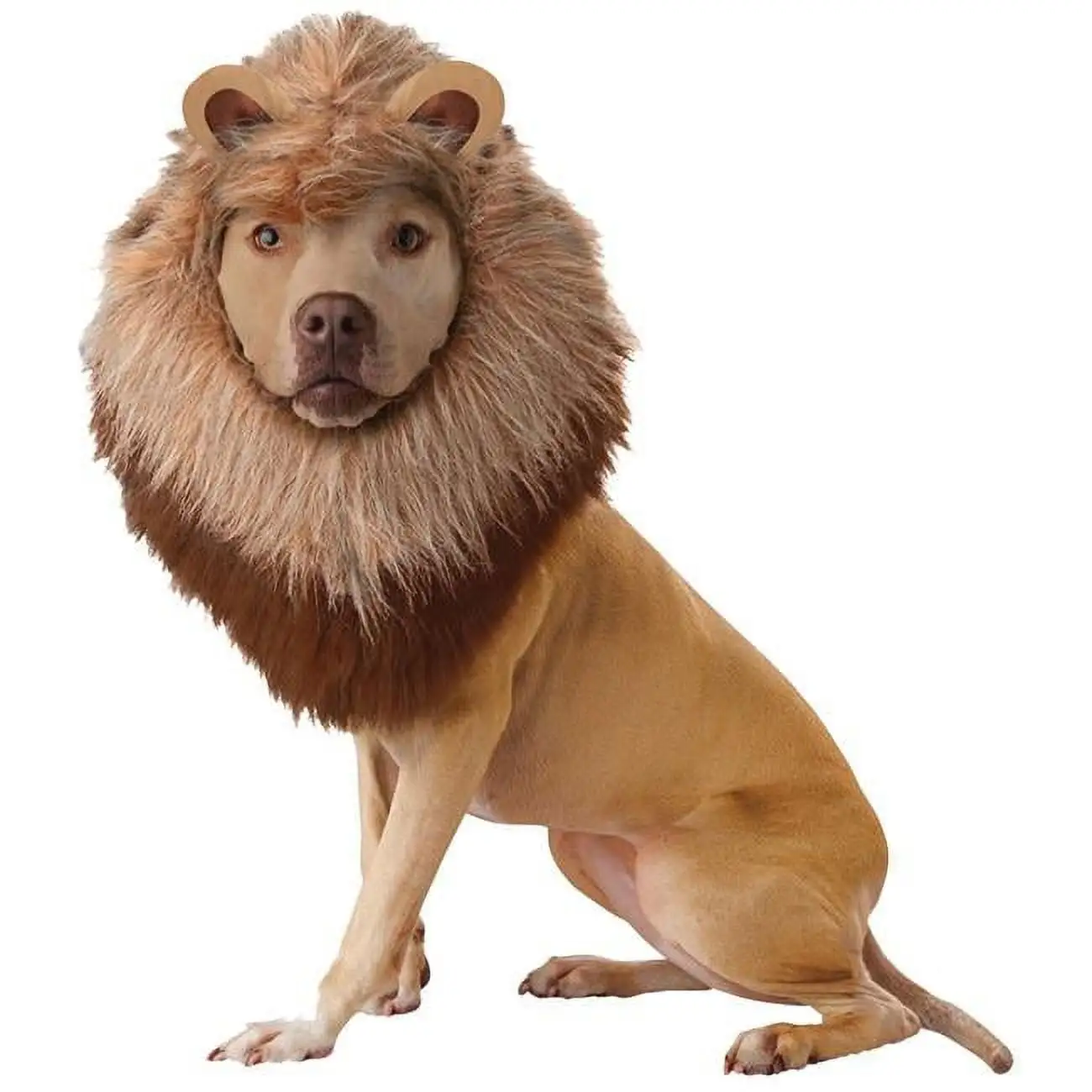 Lion Dog Costume. Pet Zoo Animal Outfit