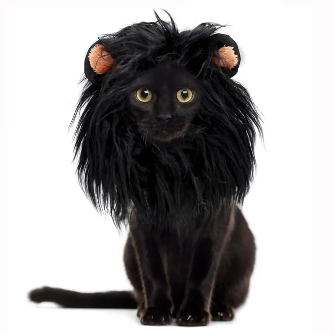 Lion Mane Wig for Cats. Funny Pet Cat Costumes for Halloween Christmas (Size S. Black)